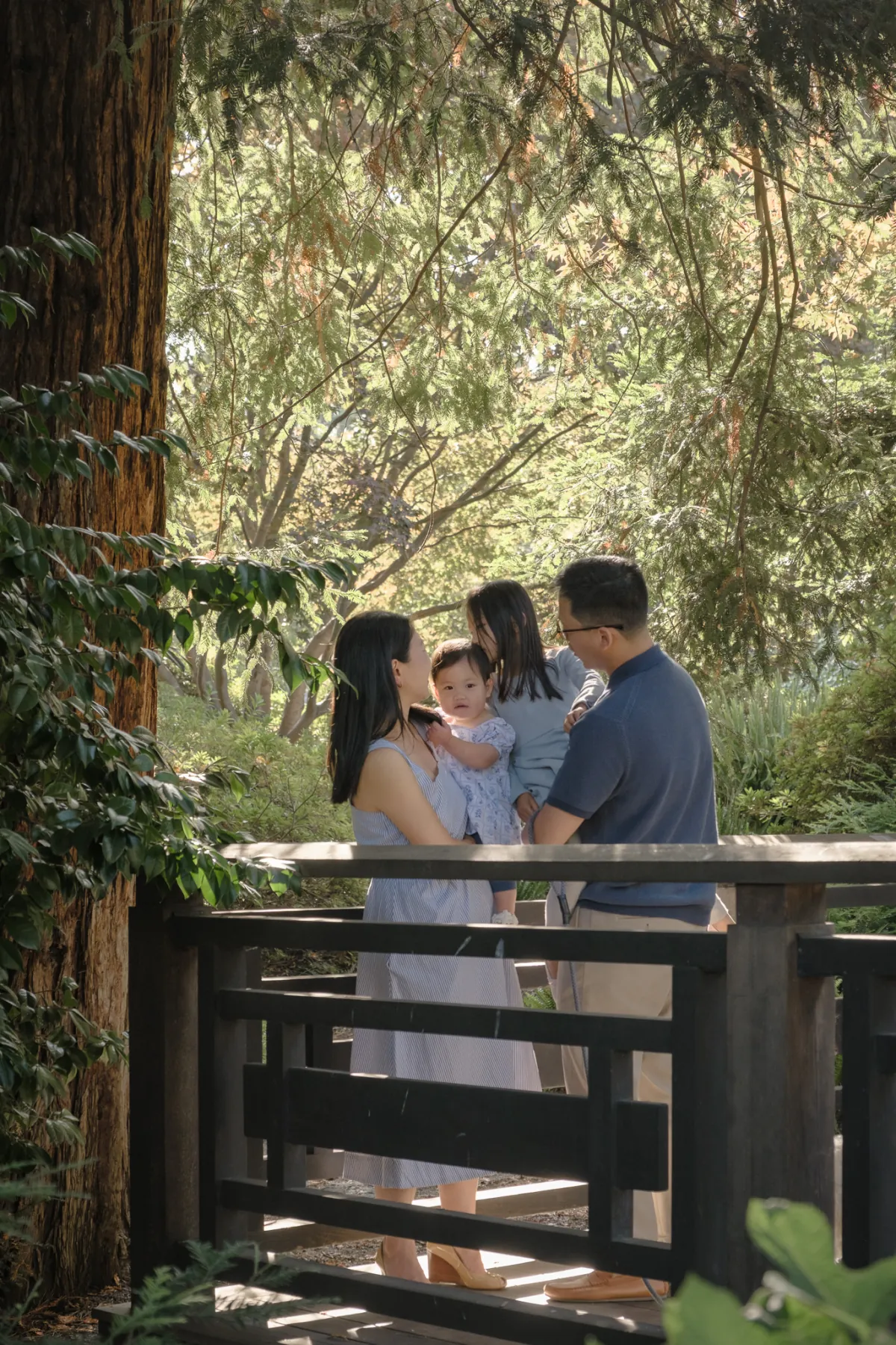 Lin family photos on the wooden footbridge under the trees, Piedmont Park, Piedmont CA