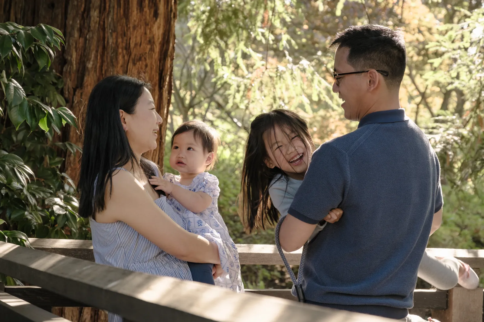Lin family photos in the light through the trees, Piedmont Park, Piedmont CA