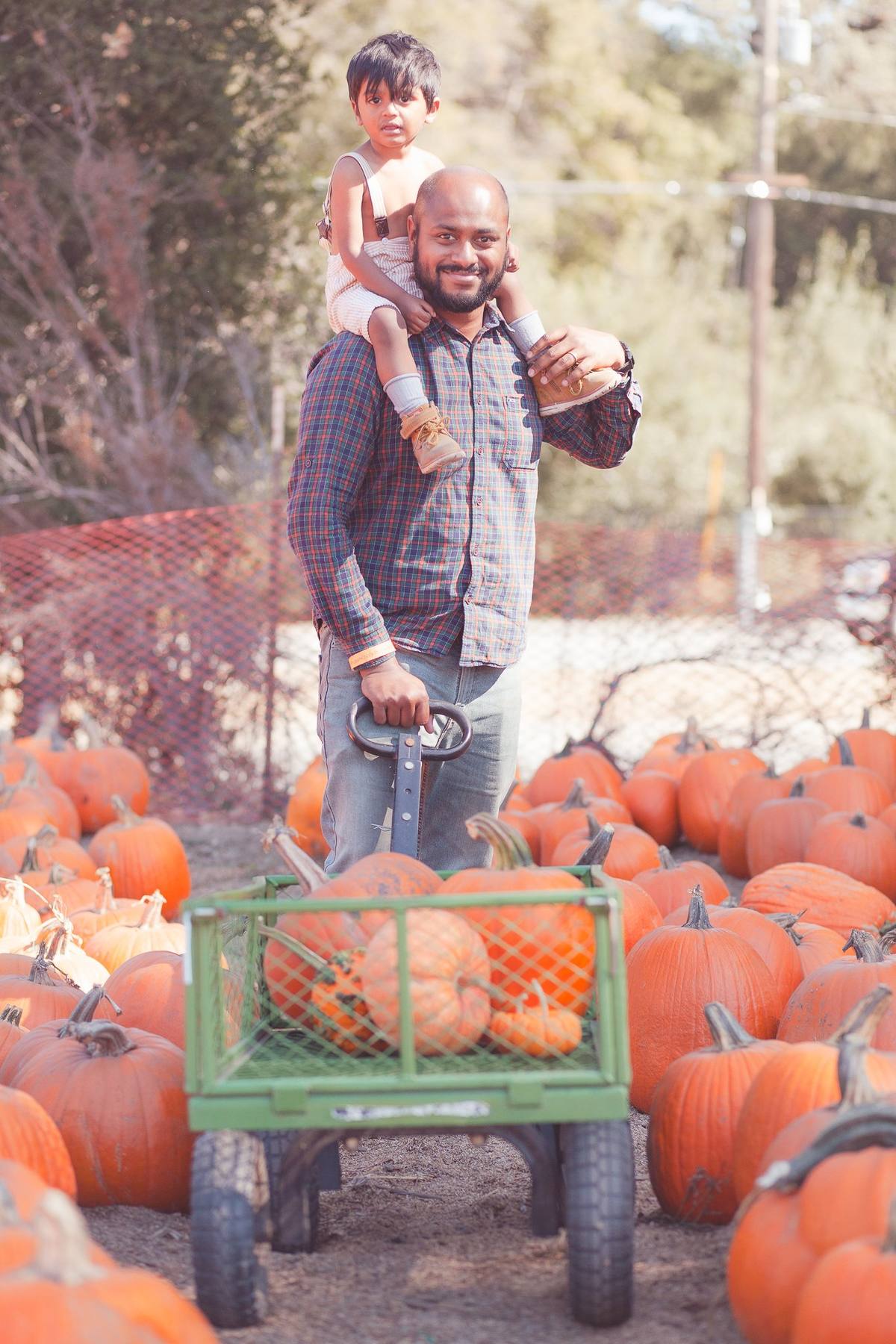 Father carrying his son on his shoulders beside a wagon full of pumpkins at a pumpkin patch