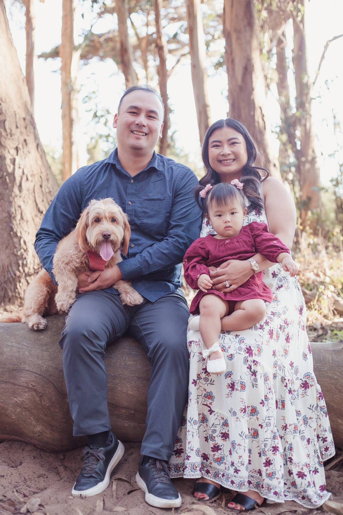 Parents, baby girl, and their dog sitting on a log at Andy Goldsworthy's Wood Line