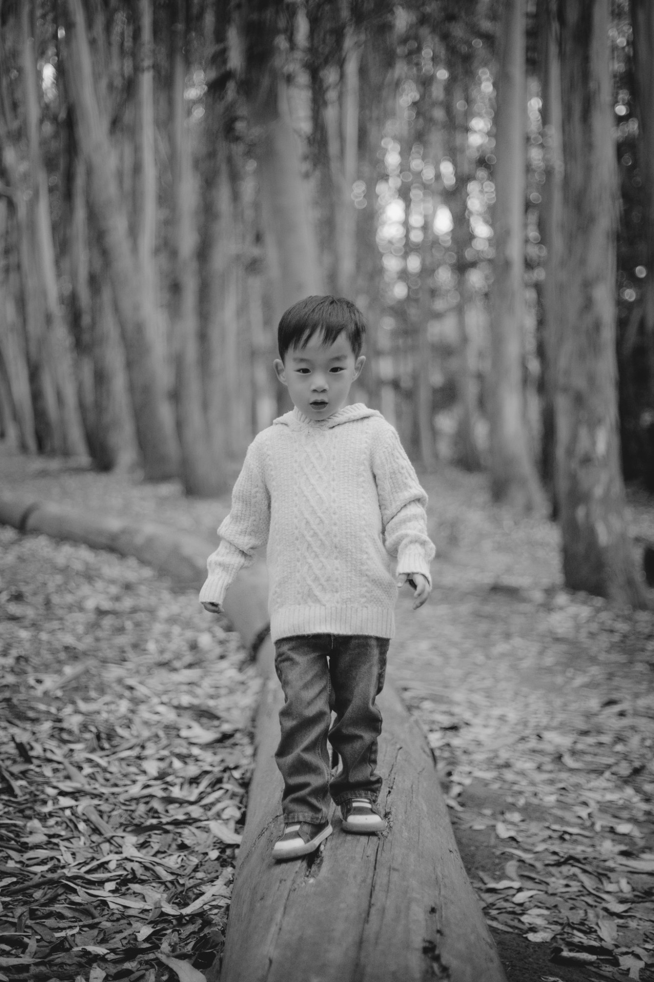 Little boy walking along a fallen log at Andy Goldsworthy&rsquo;s Wood Line in the Presidio, black and white