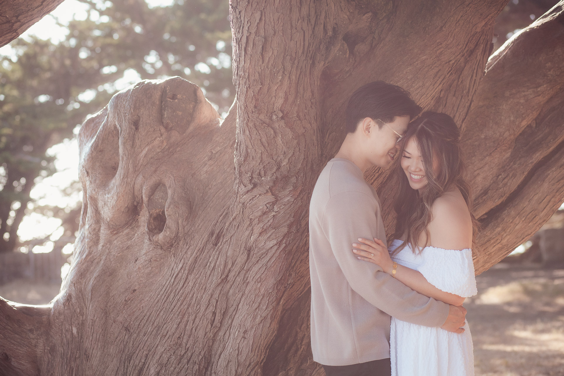 Couple embracing beneath a cypress tree — San Francisco wedding photography by Matt Dea