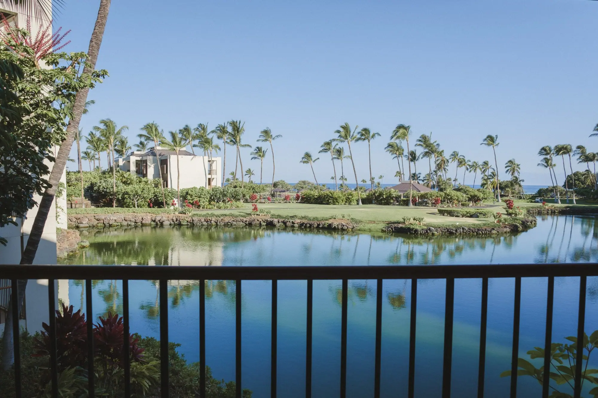 Photo from Day 1–2: Stay at Mauna Lani Terrace + Best Acai & Poke Bowls, Big Island, HI