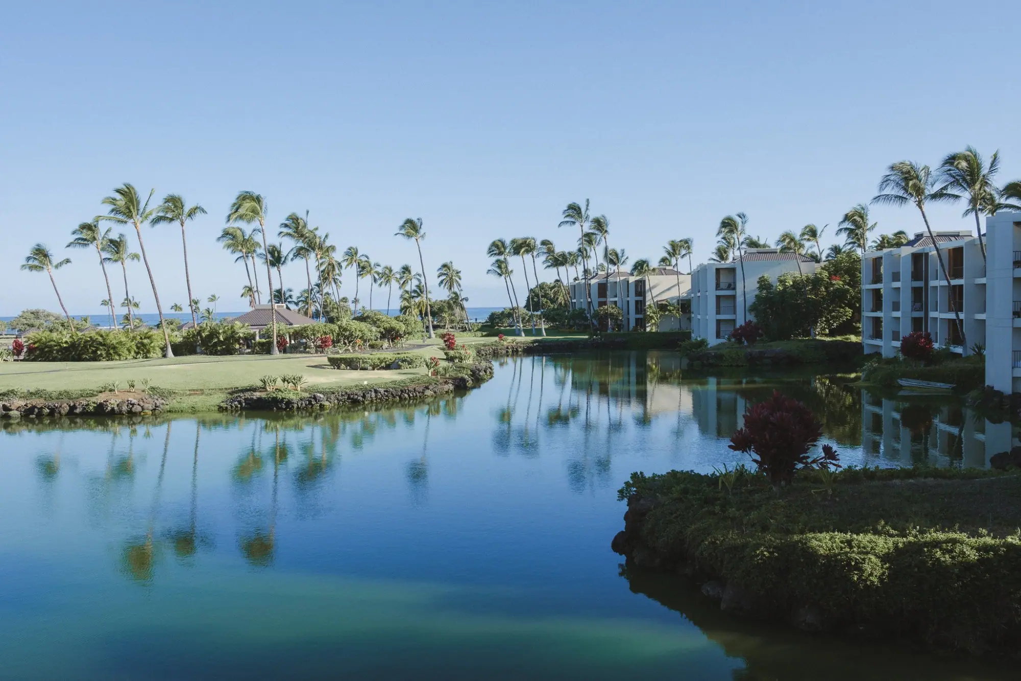 Photo from Day 1–2: Stay at Mauna Lani Terrace + Best Acai & Poke Bowls, Big Island, HI