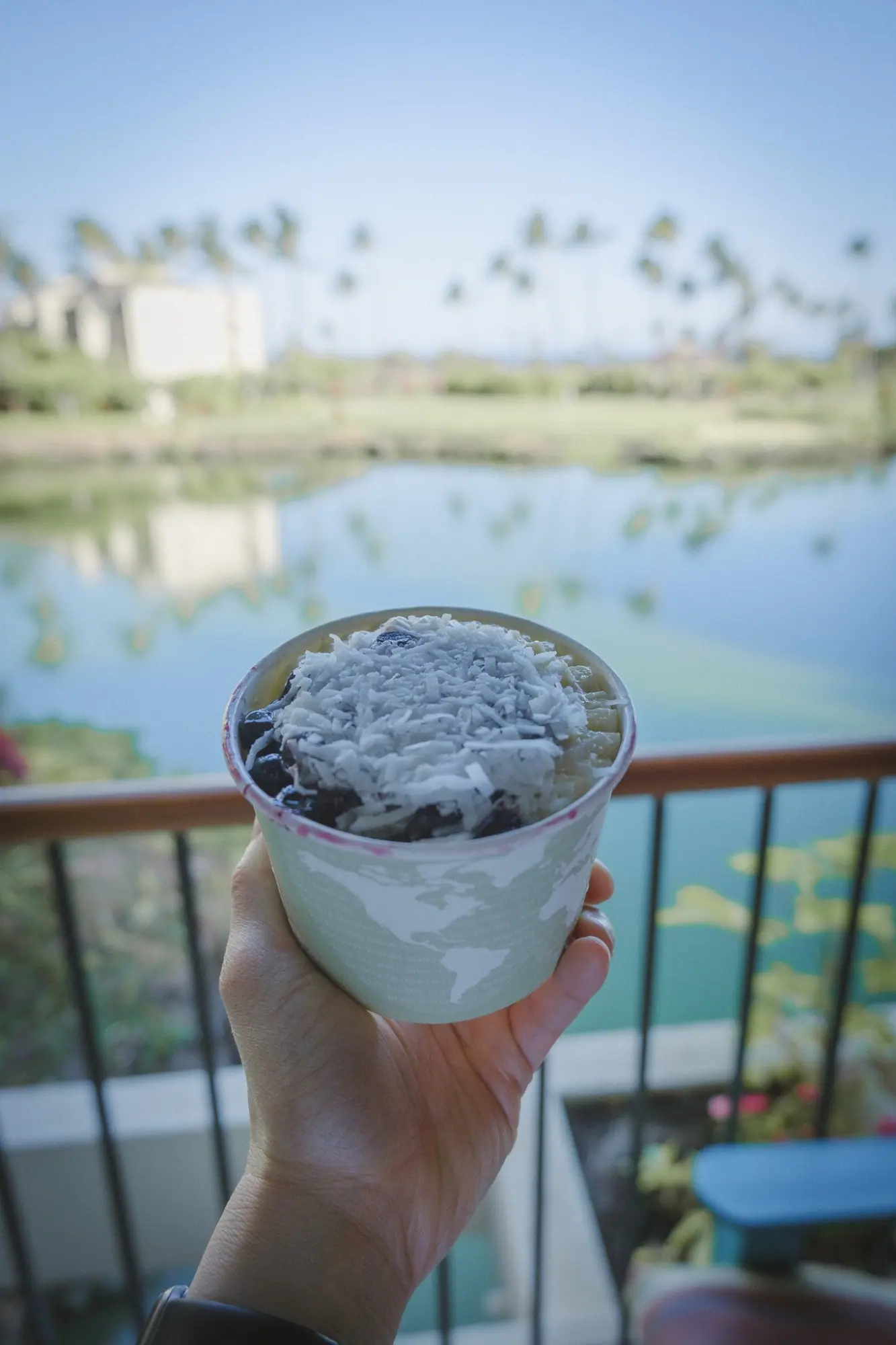 Photo from Day 1–2: Stay at Mauna Lani Terrace + Best Acai & Poke Bowls, Big Island, HI