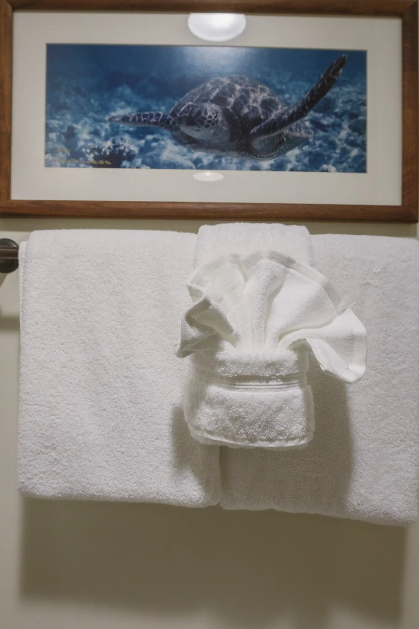 Photo from Day 1–2: Stay at Mauna Lani Terrace + Best Acai & Poke Bowls, Big Island, HI