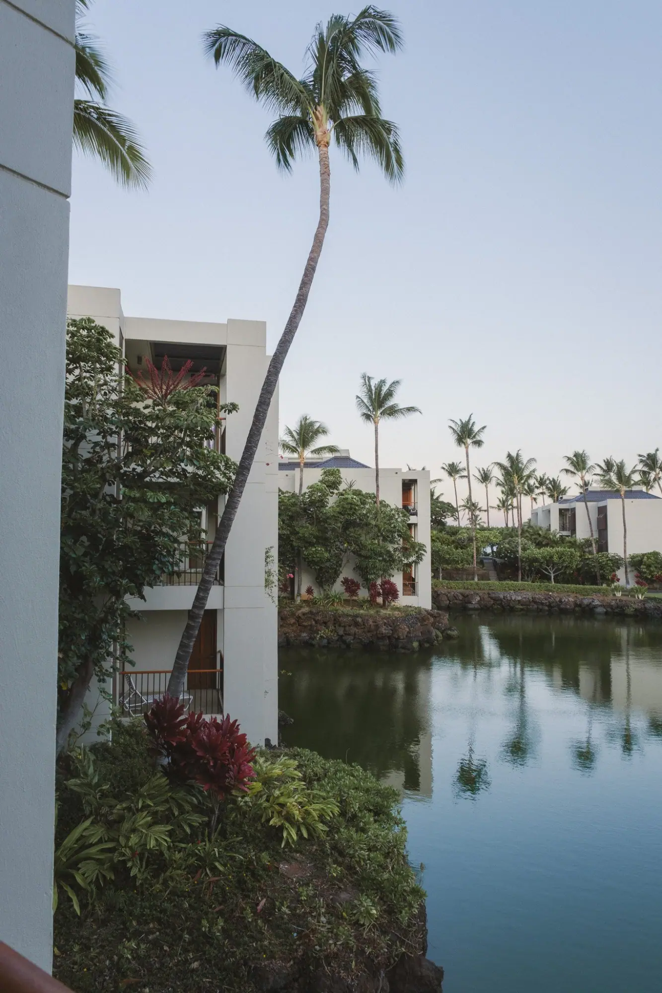 Photo from Day 1–2: Stay at Mauna Lani Terrace + Best Acai & Poke Bowls, Big Island, HI