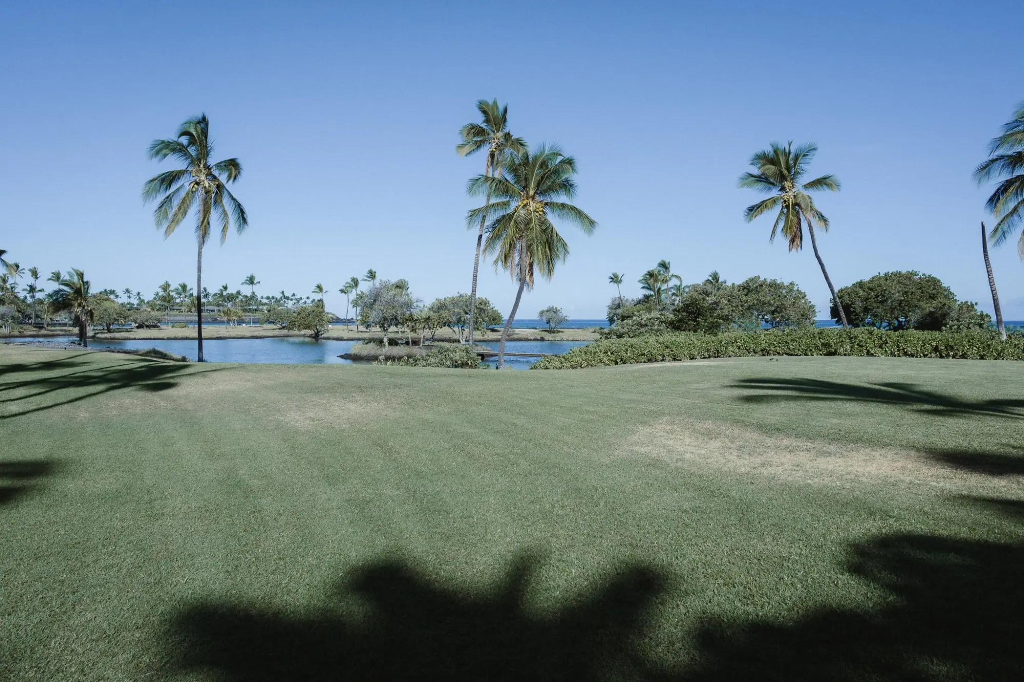 Photo from One morning, we treated ourselves to breakfast at Halani at the Mauna Lani Auberge, Big Island, HI