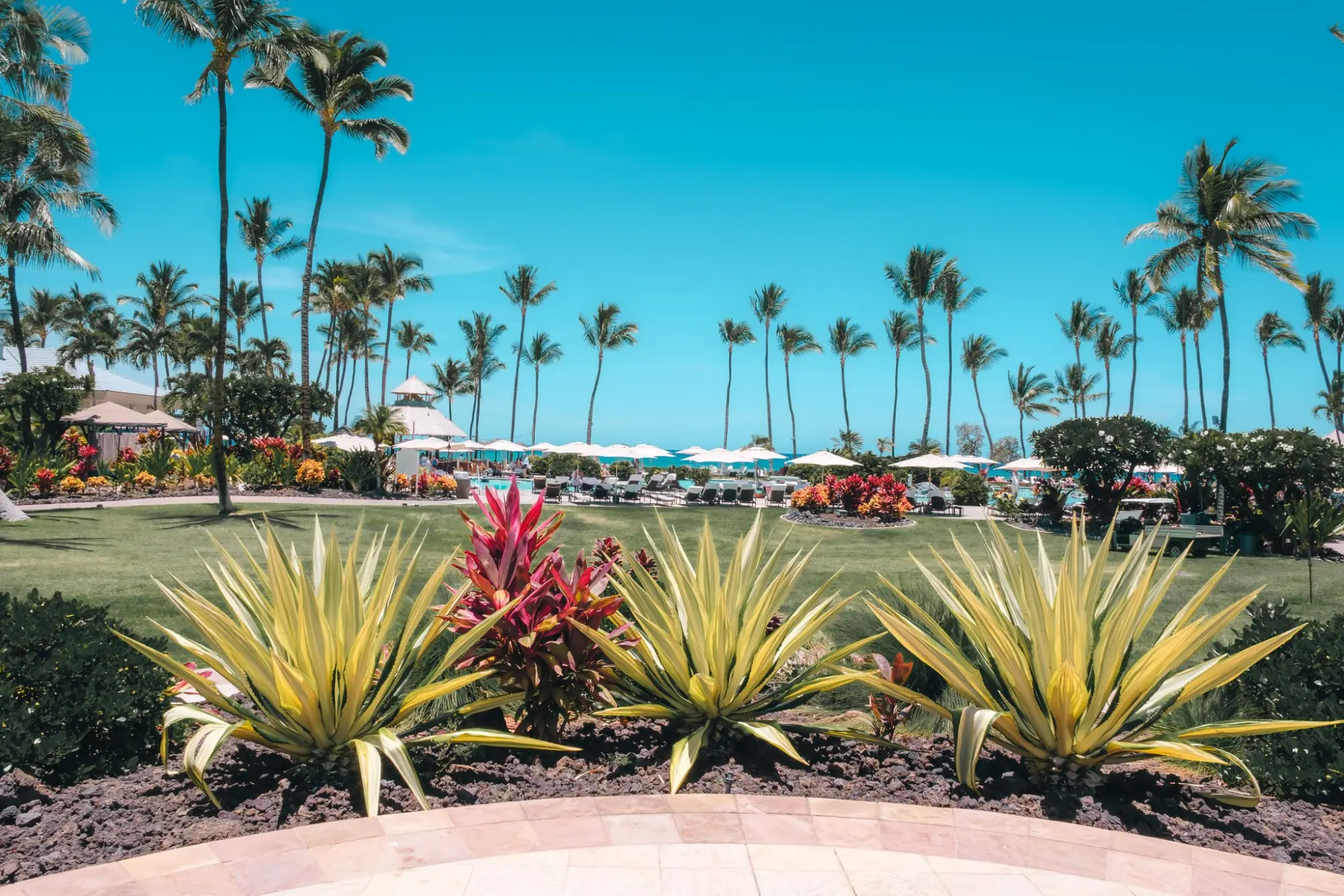 Photo from Day 3: Check Into the Fairmont Orchid + Sunset Dinner at Brown’s Beach House, Big Island, HI