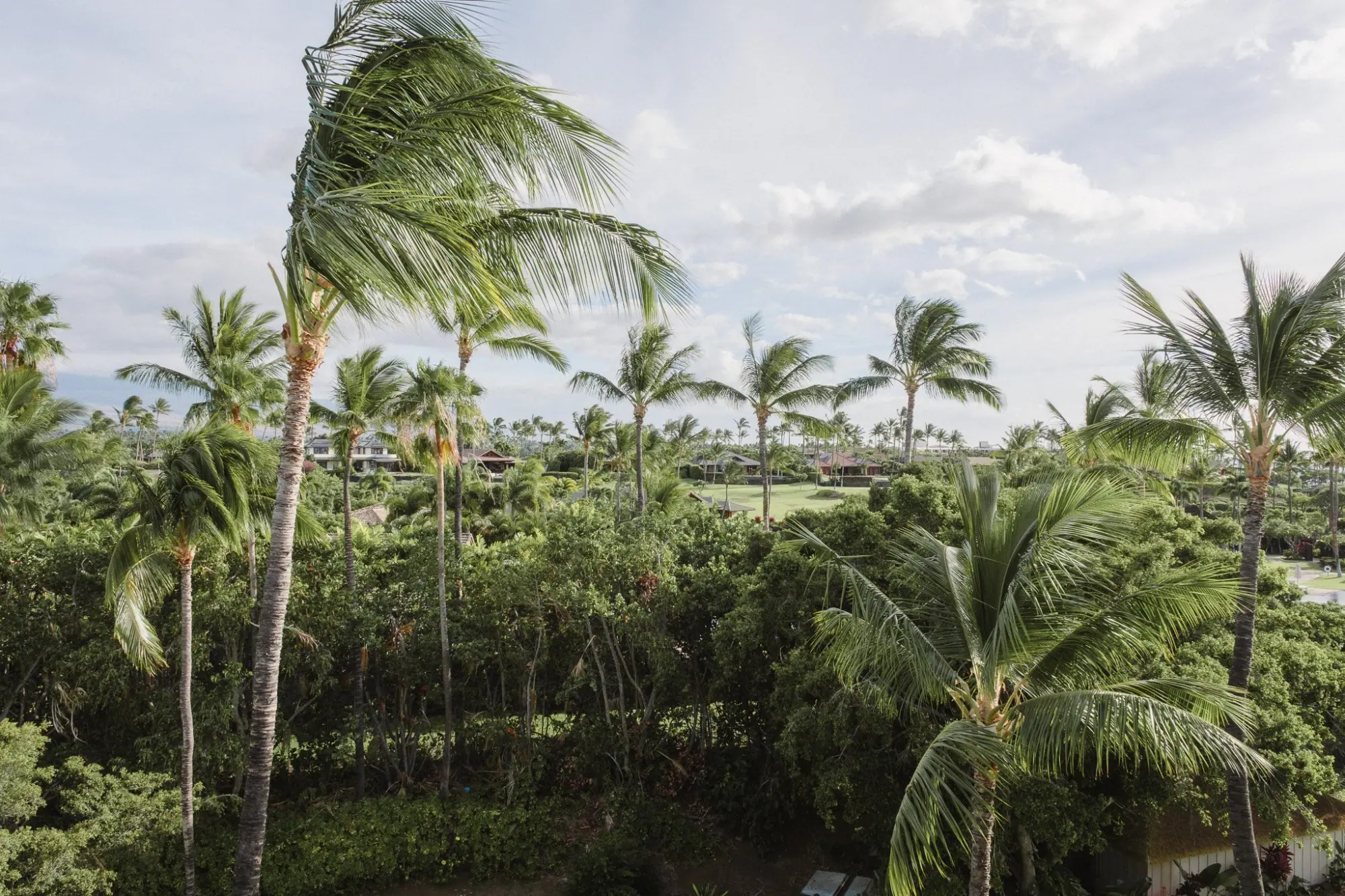 Photo from Day 3: Check Into the Fairmont Orchid + Sunset Dinner at Brown’s Beach House, Big Island, HI