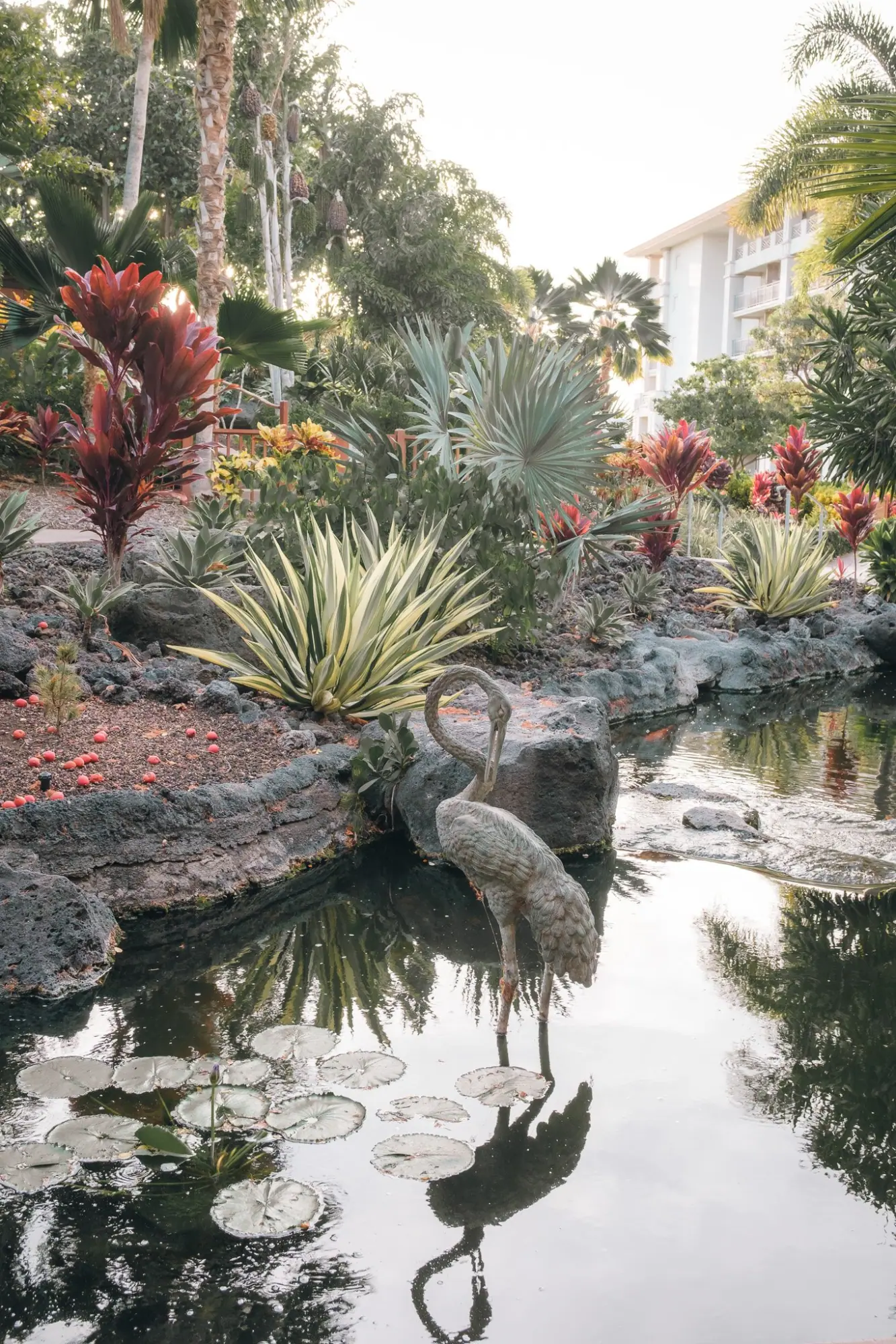 Photo from Day 3: Check Into the Fairmont Orchid + Sunset Dinner at Brown’s Beach House, Big Island, HI