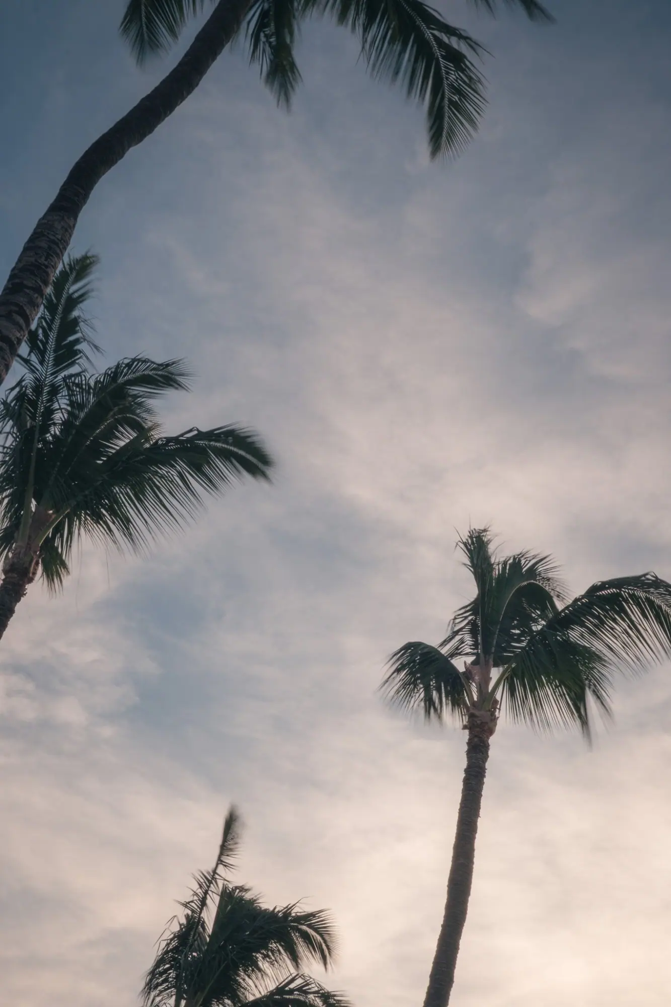 Photo from Day 3: Check Into the Fairmont Orchid + Sunset Dinner at Brown’s Beach House, Big Island, HI