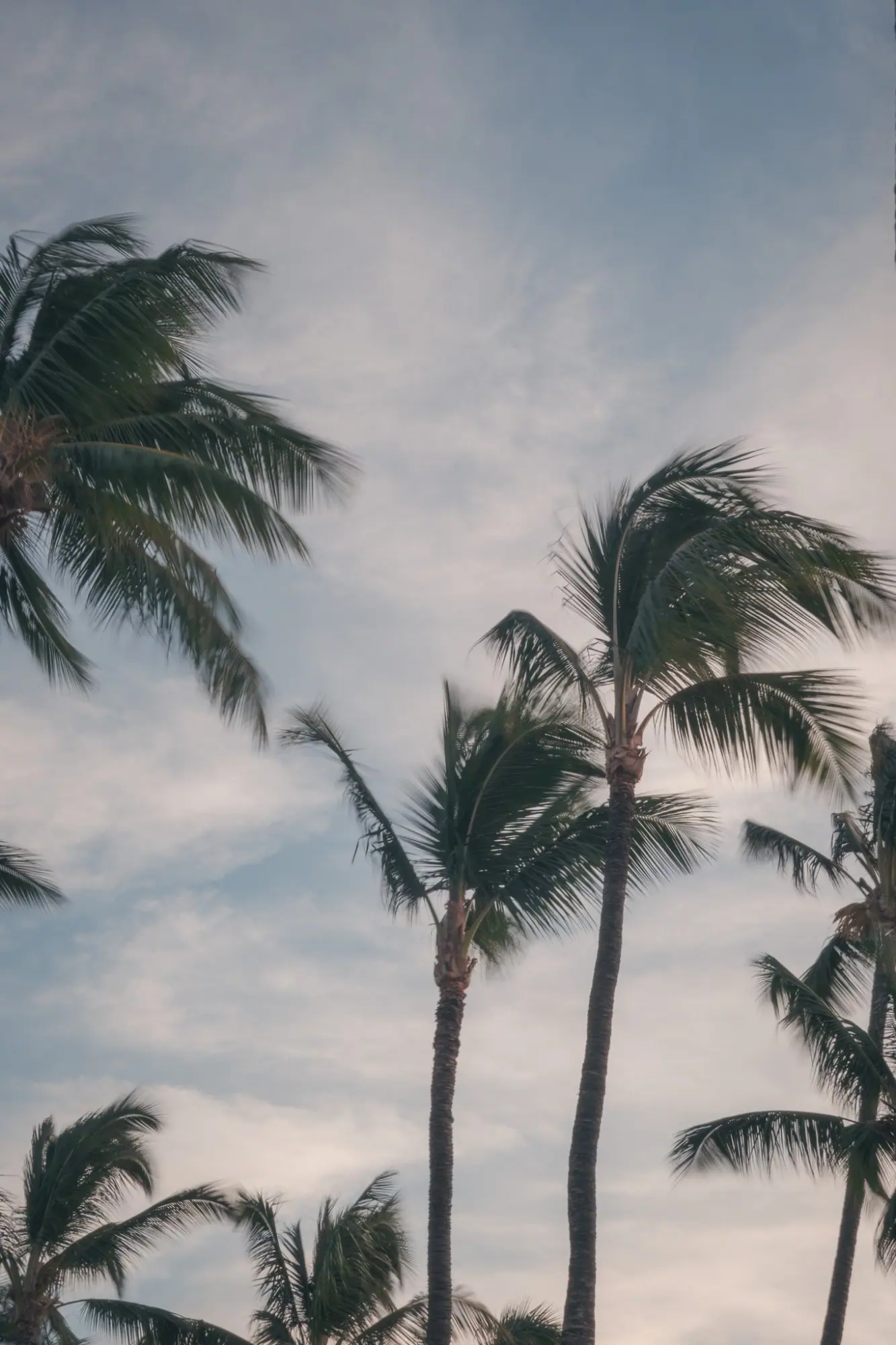 Photo from Day 3: Check Into the Fairmont Orchid + Sunset Dinner at Brown’s Beach House, Big Island, HI