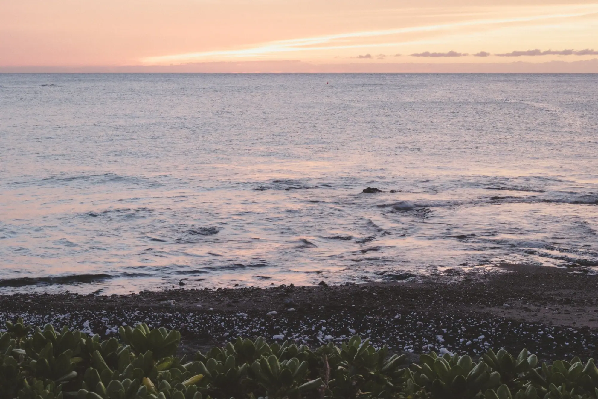 Photo from Day 3: Check Into the Fairmont Orchid + Sunset Dinner at Brown’s Beach House, Big Island, HI