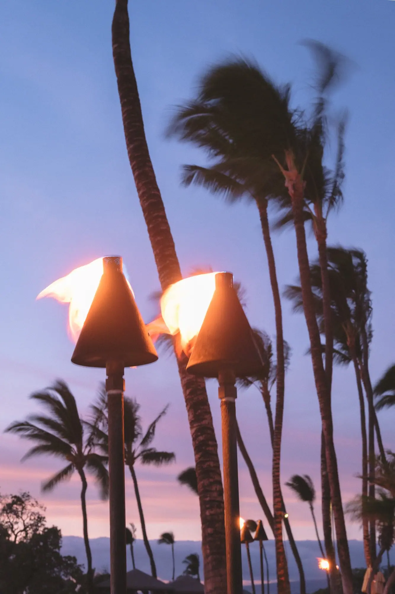 Photo from Day 3: Check Into the Fairmont Orchid + Sunset Dinner at Brown’s Beach House, Big Island, HI