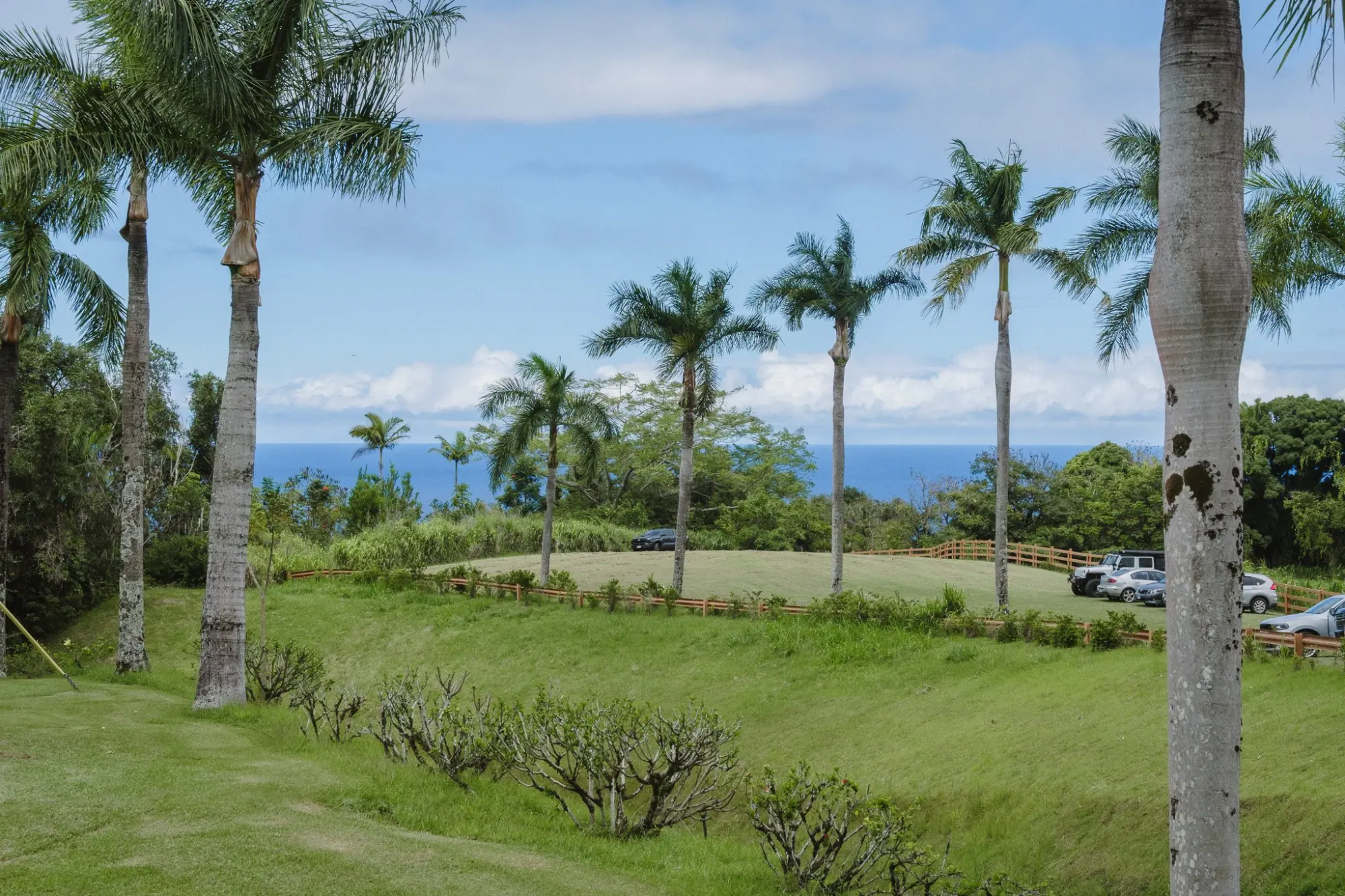 Photo from Day 4: Umauma Falls, Akaka Falls & Hidden Roadside Treats Near Hilo, Big Island, HI