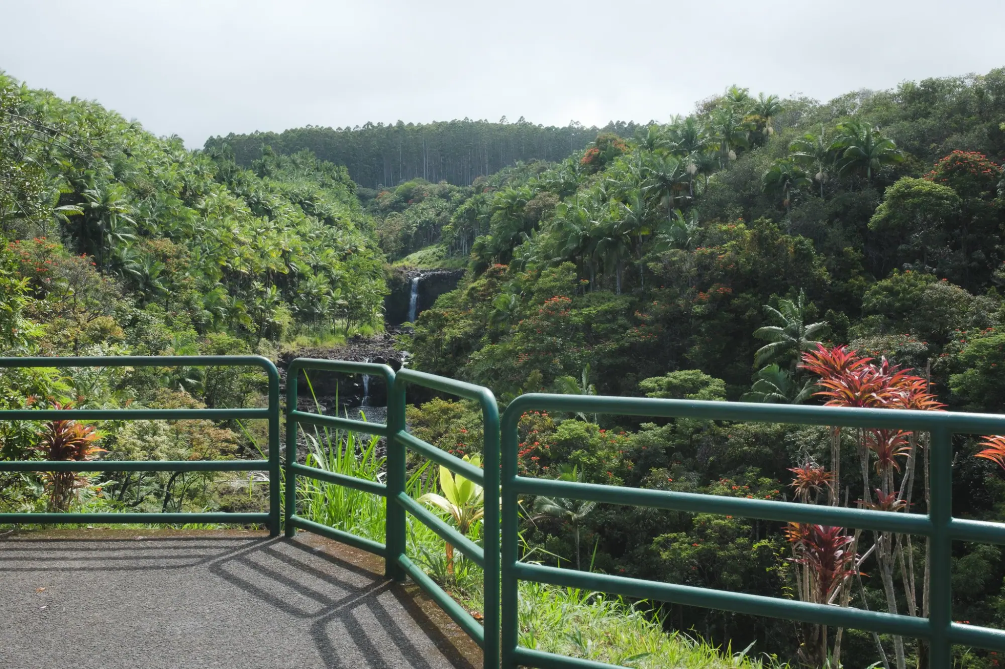 Photo from Day 4: Umauma Falls, Akaka Falls & Hidden Roadside Treats Near Hilo, Big Island, HI