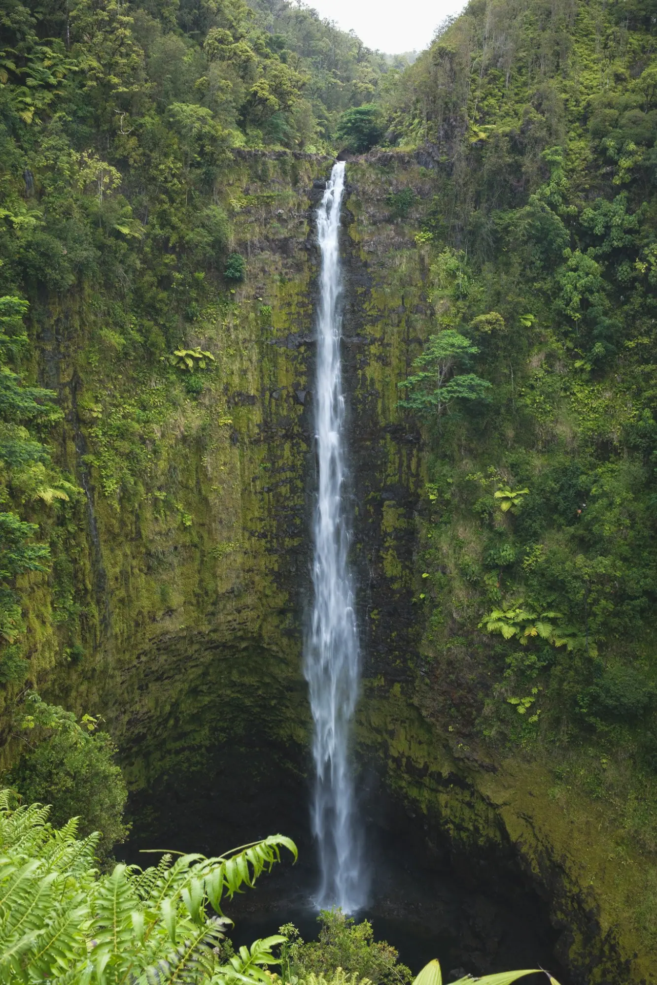 Photo from Day 4: Umauma Falls, Akaka Falls & Hidden Roadside Treats Near Hilo, Big Island, HI