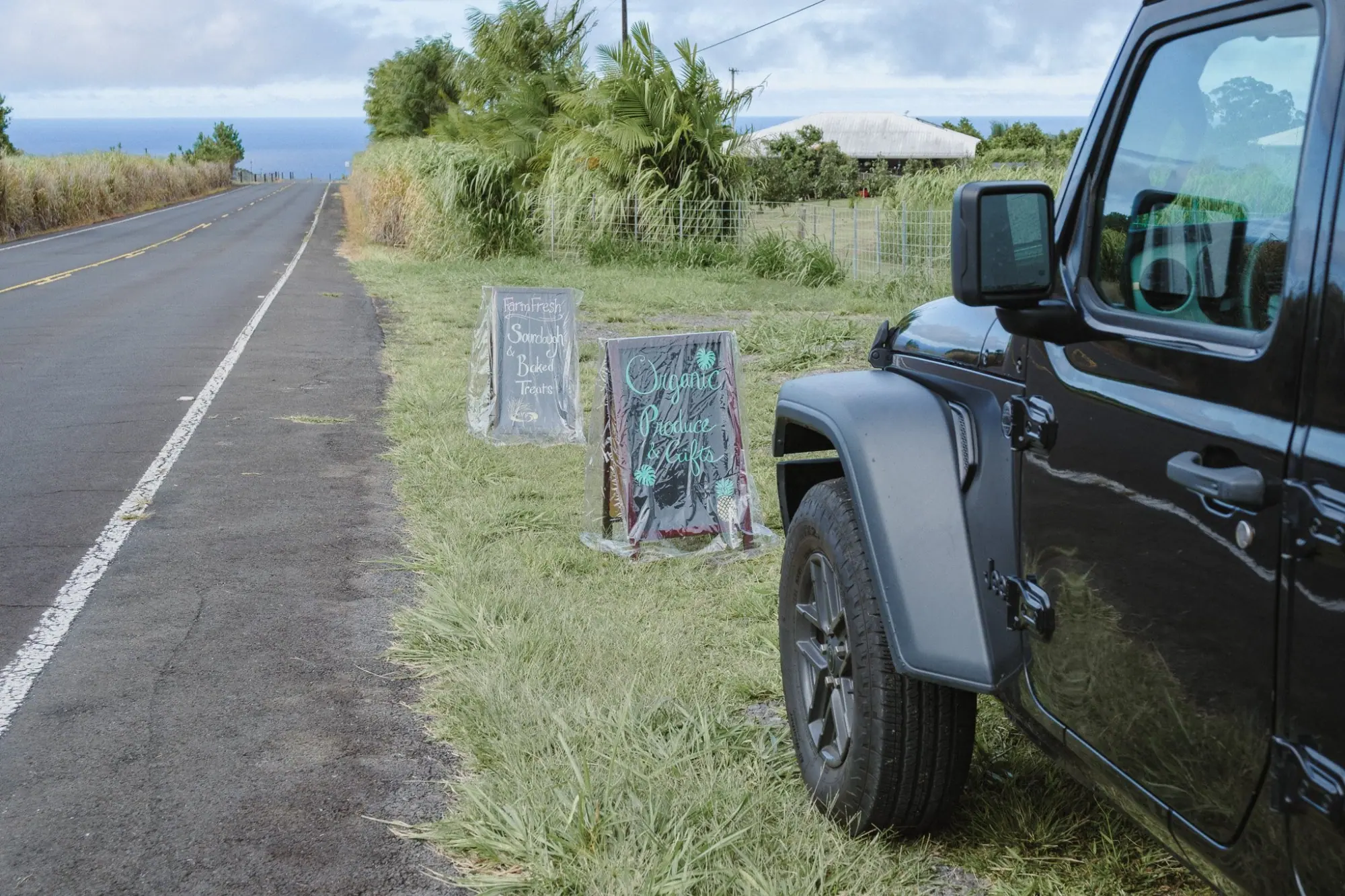 Photo from Near Akaka Falls, we found a charming roadside stand selling baked goods—completely unmanned with a Venmo…, Big Island, HI