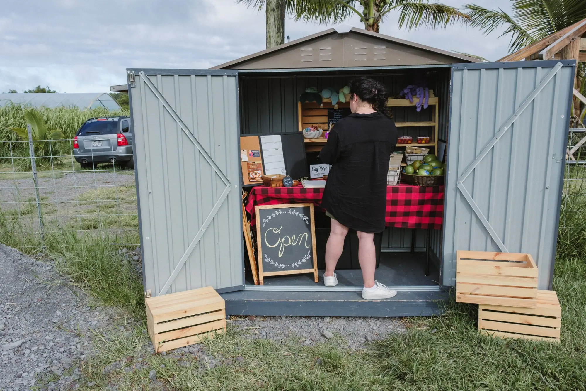Photo from Near Akaka Falls, we found a charming roadside stand selling baked goods—completely unmanned with a Venmo…, Big Island, HI
