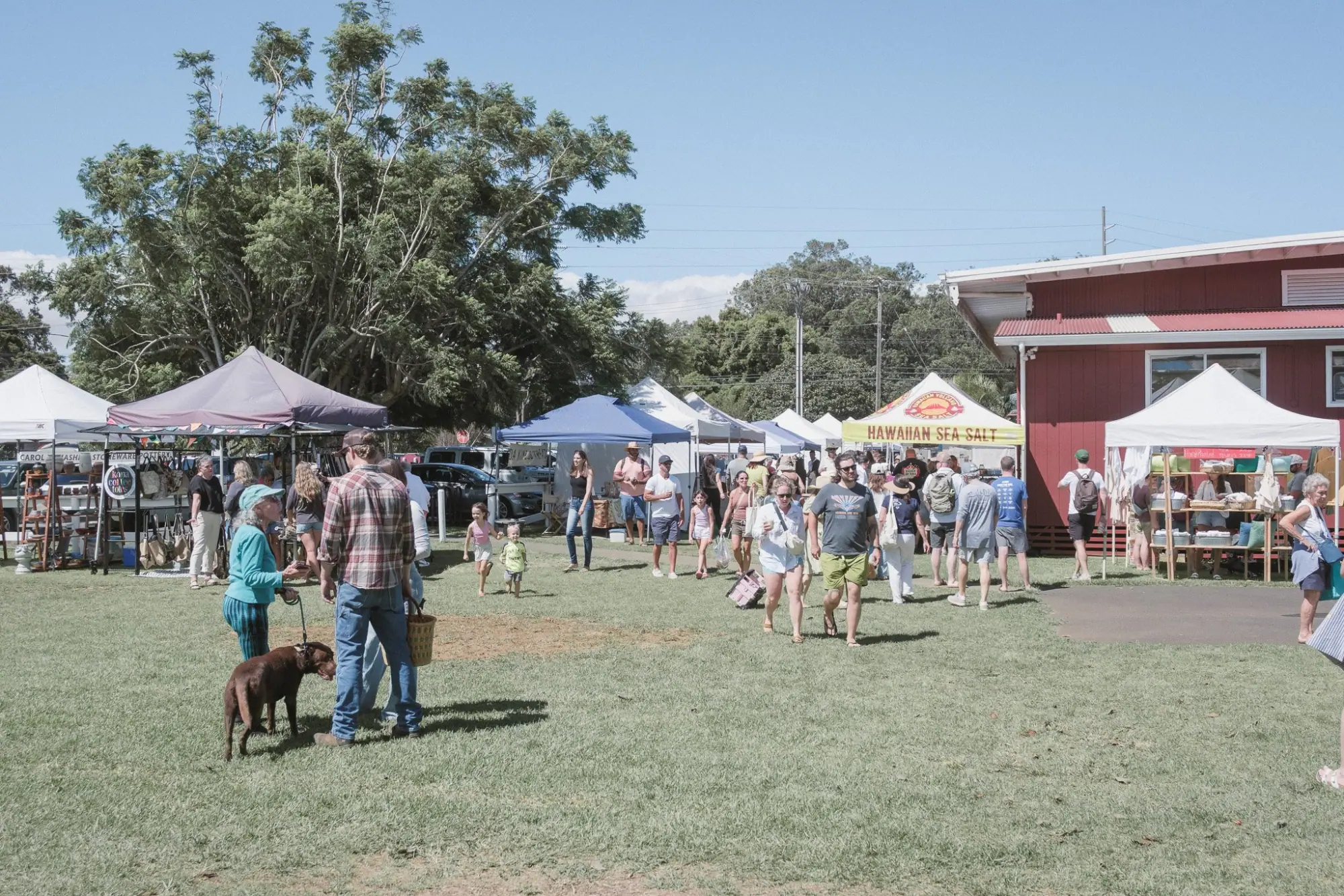 Photo from Day 6: Waimea Farmers Market + Waipio Valley Lookout, Big Island, HI