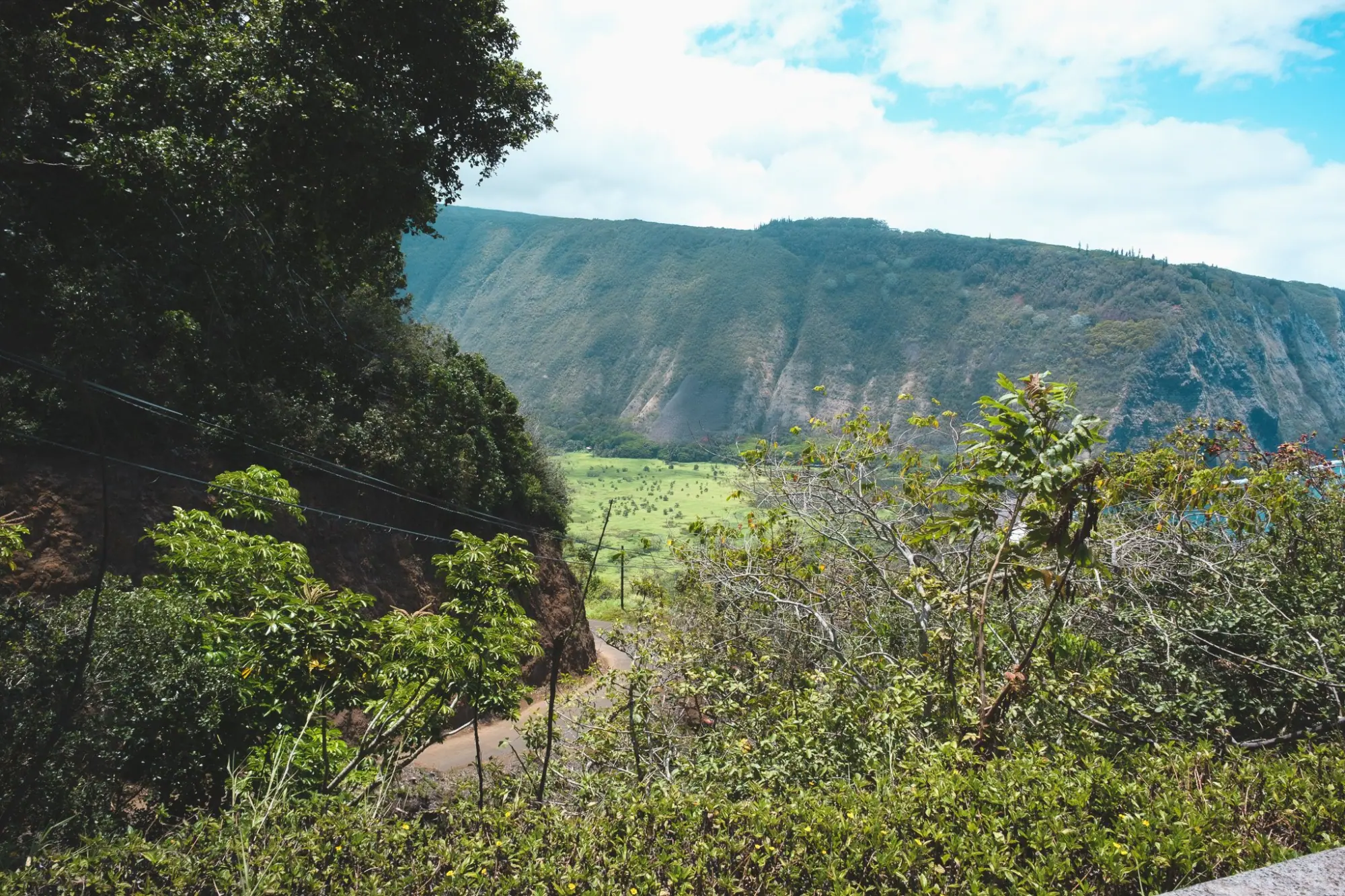 Photo from Before heading back, we stopped at the Waipio Valley Lookout, where the panoramic view of cliffs, jungle,…, Big Island, HI