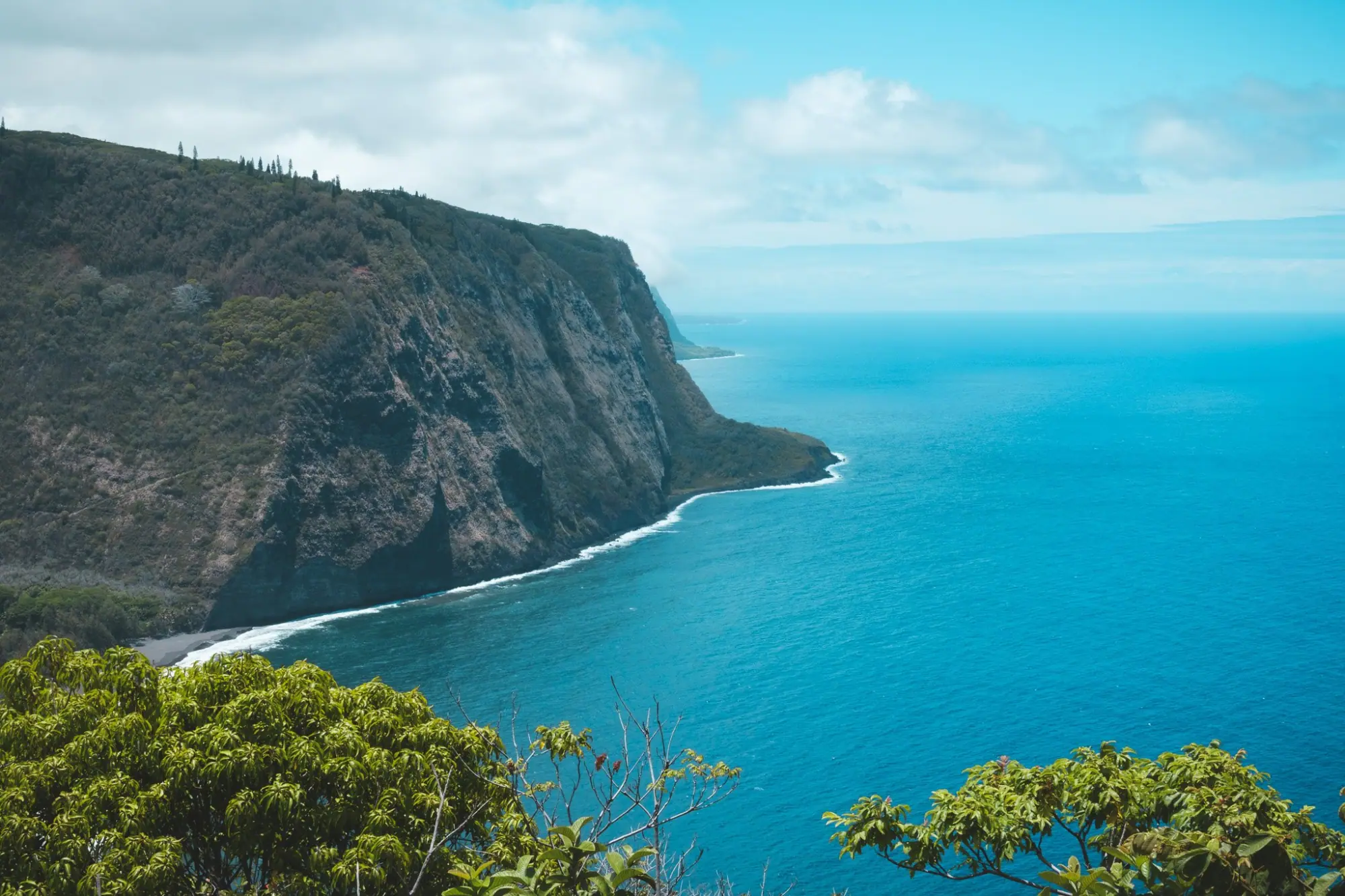 Photo from Before heading back, we stopped at the Waipio Valley Lookout, where the panoramic view of cliffs, jungle,…, Big Island, HI
