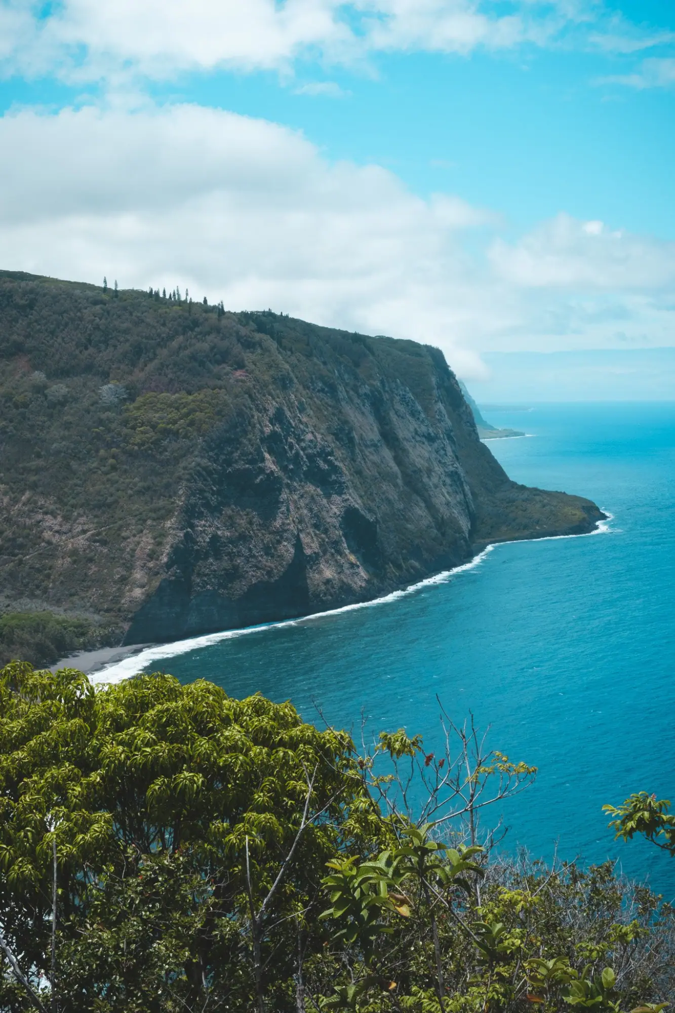 Photo from Before heading back, we stopped at the Waipio Valley Lookout, where the panoramic view of cliffs, jungle,…, Big Island, HI