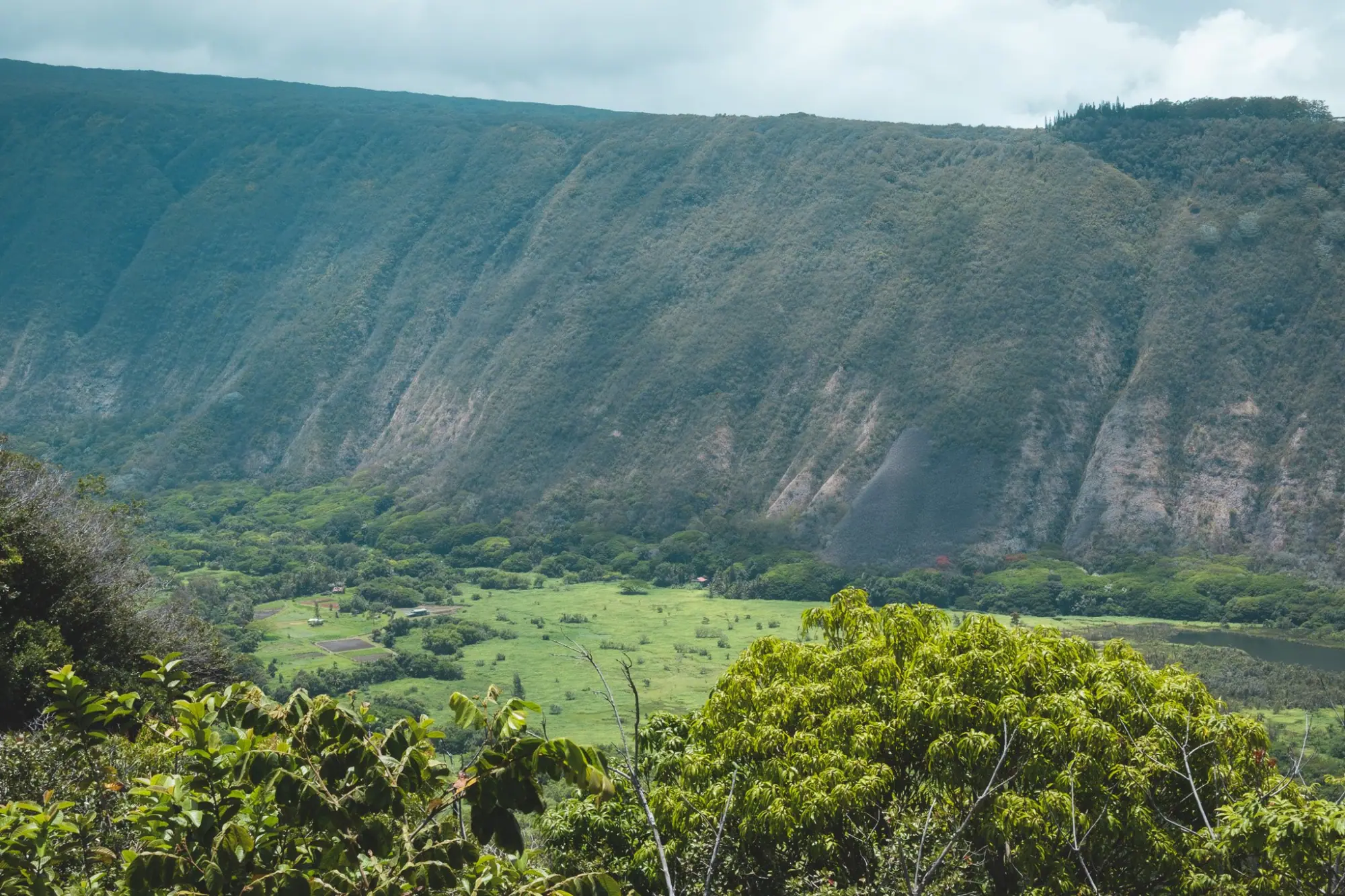 Photo from Before heading back, we stopped at the Waipio Valley Lookout, where the panoramic view of cliffs, jungle,…, Big Island, HI