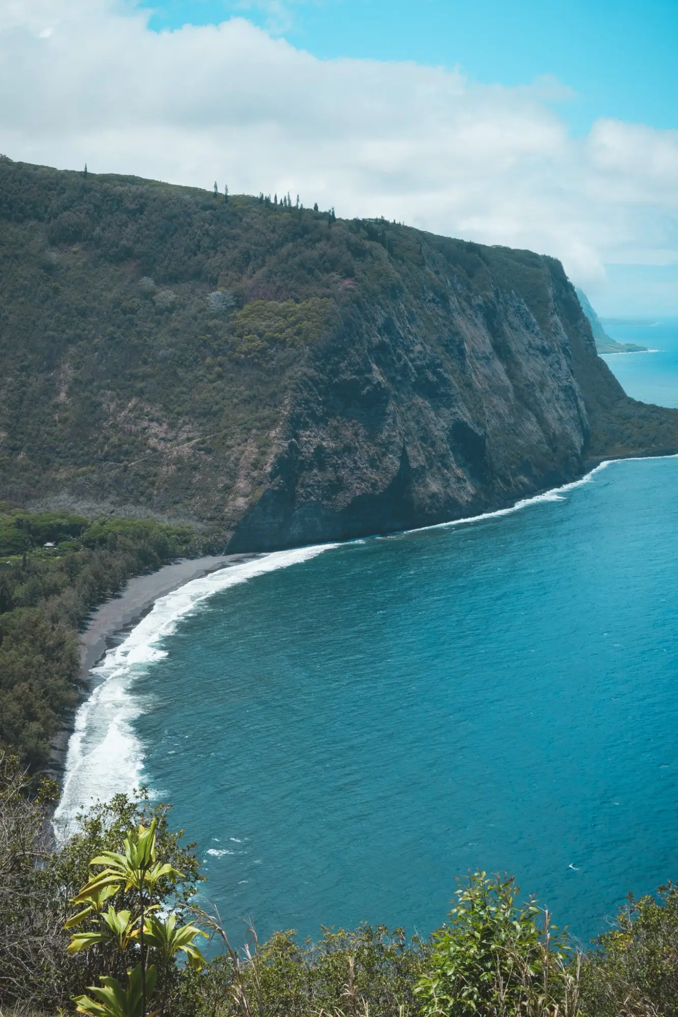 Photo from Before heading back, we stopped at the Waipio Valley Lookout, where the panoramic view of cliffs, jungle,…, Big Island, HI