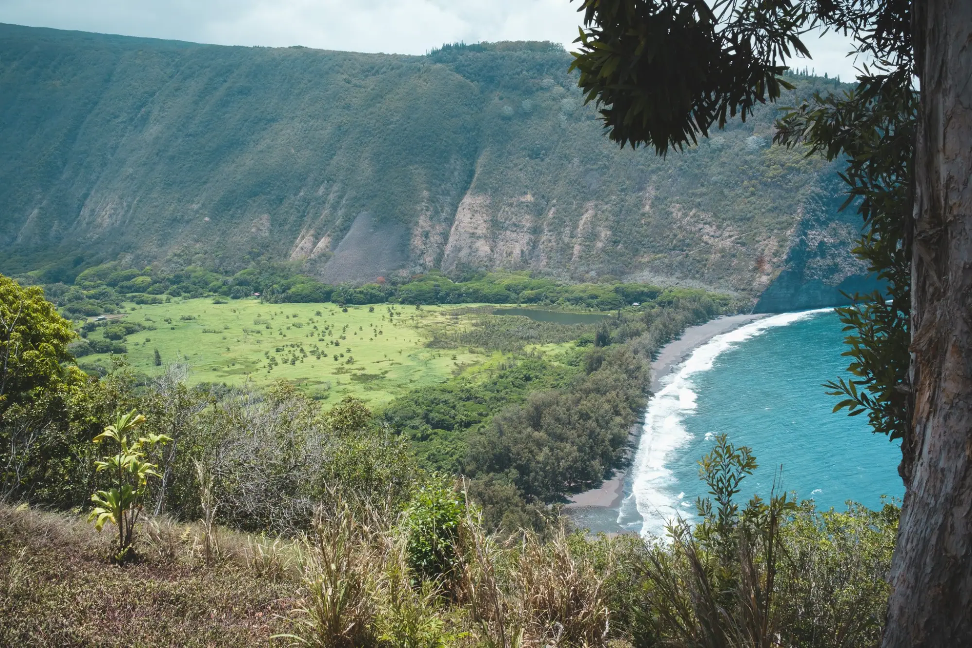 Photo from Before heading back, we stopped at the Waipio Valley Lookout, where the panoramic view of cliffs, jungle,…, Big Island, HI