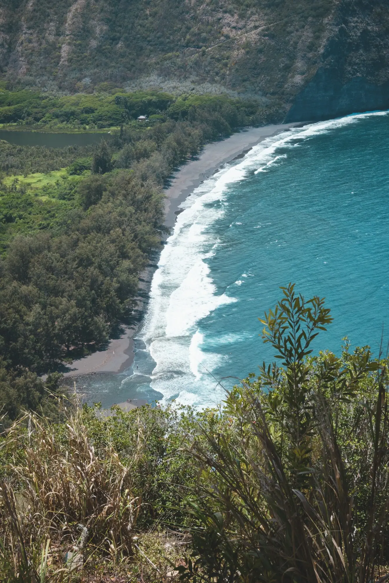 Photo from Before heading back, we stopped at the Waipio Valley Lookout, where the panoramic view of cliffs, jungle,…, Big Island, HI