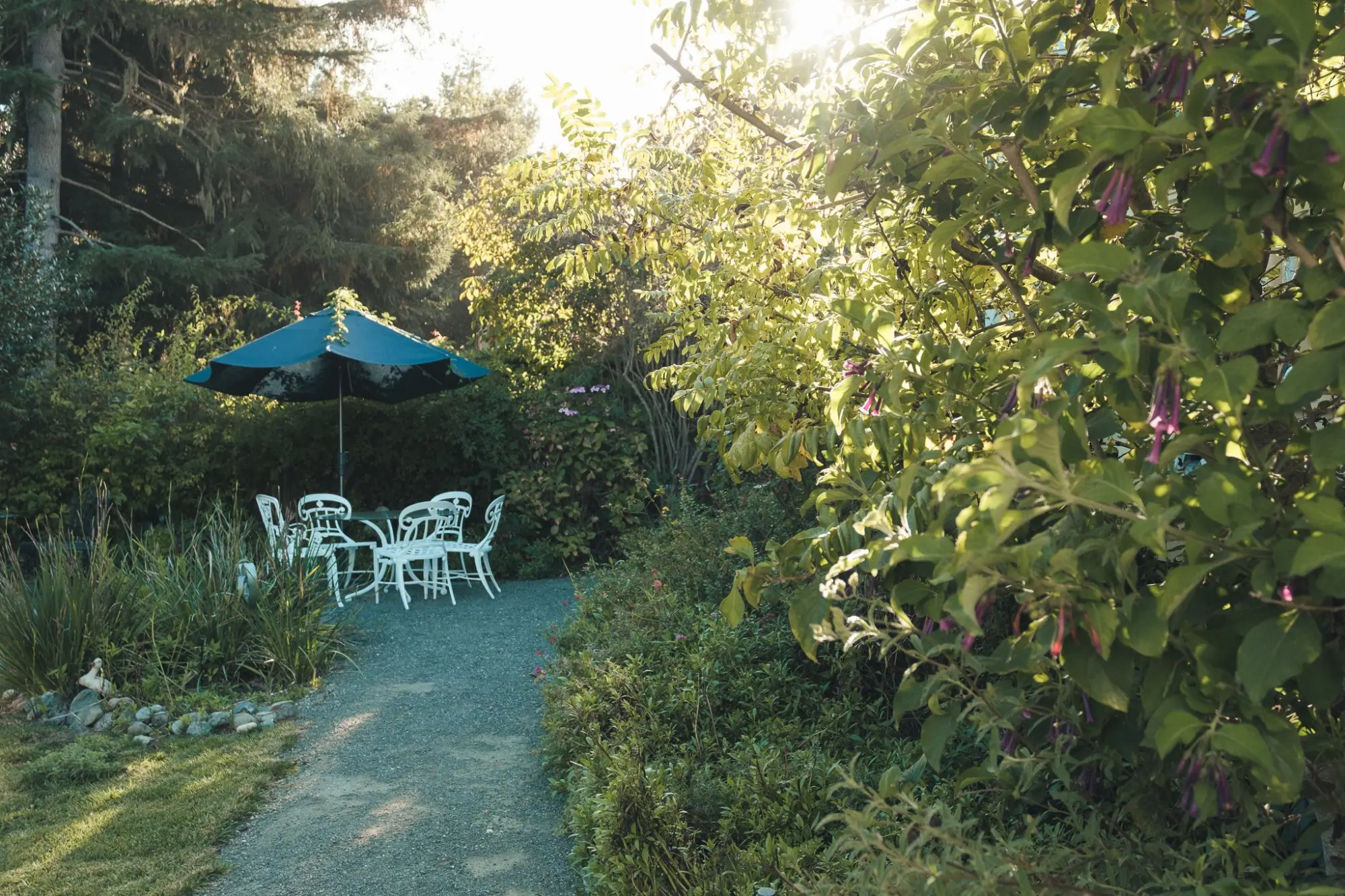 Photo from From there, we continued south to Cambria, where we checked into the Olallieberry Inn, a cozy bed and…, Central Coast, CA