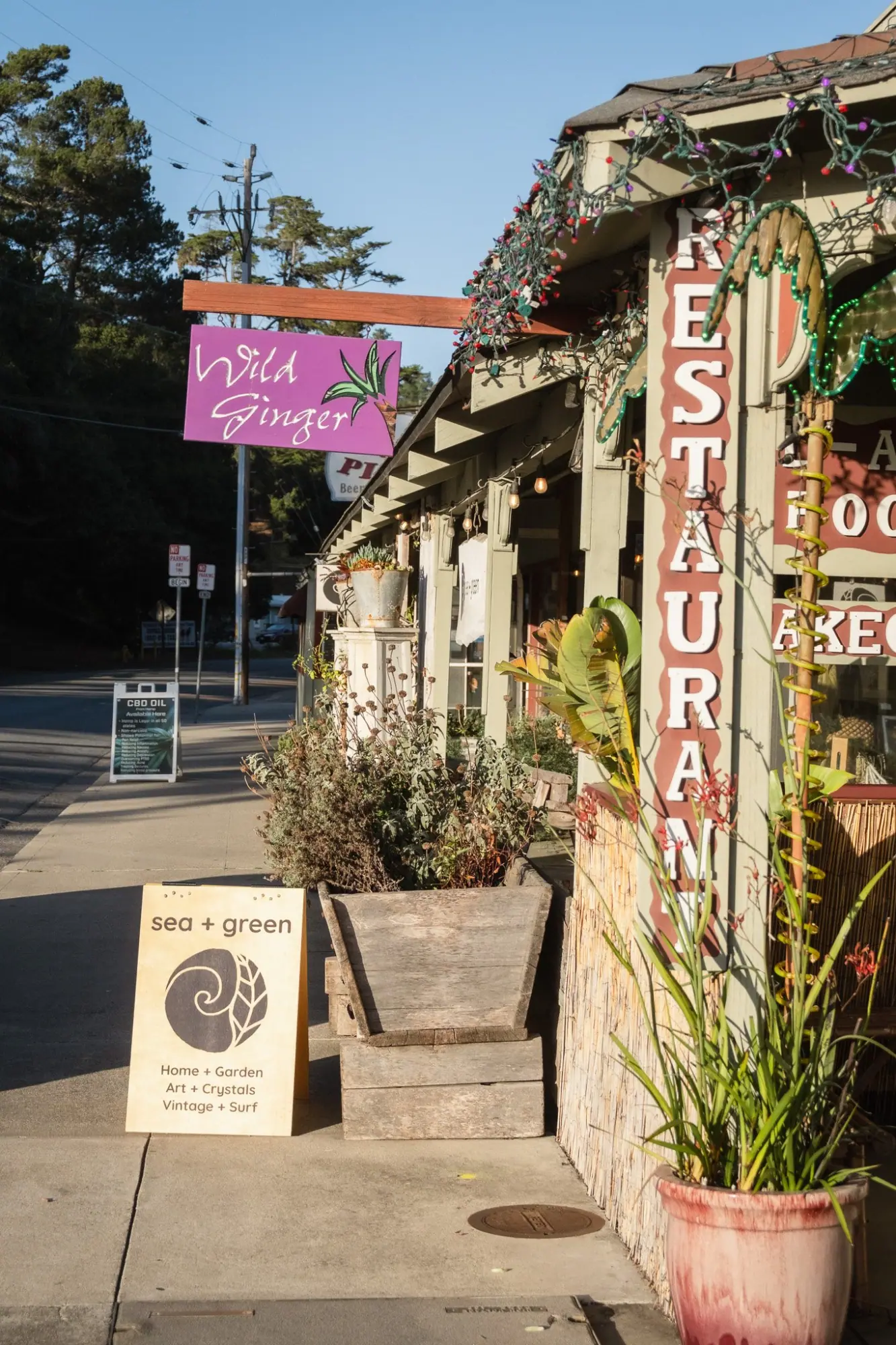 Photo from After settling in, we wandered downtown Cambria, which was buzzing with a scarecrow contest — local…, Central Coast, CA