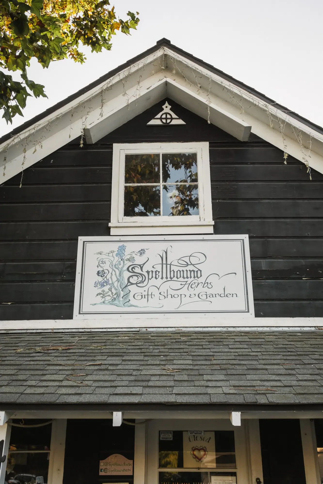 Photo from After settling in, we wandered downtown Cambria, which was buzzing with a scarecrow contest — local…, Central Coast, CA