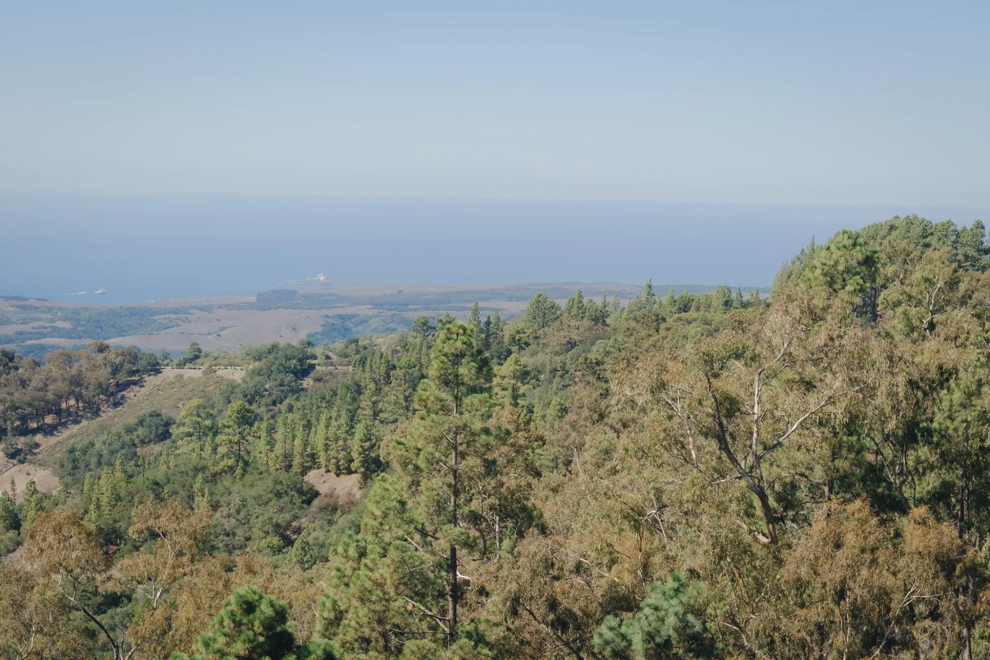 Photo from Day 2 — Hearst Castle and Arrival in Santa Barbara, Central Coast, CA