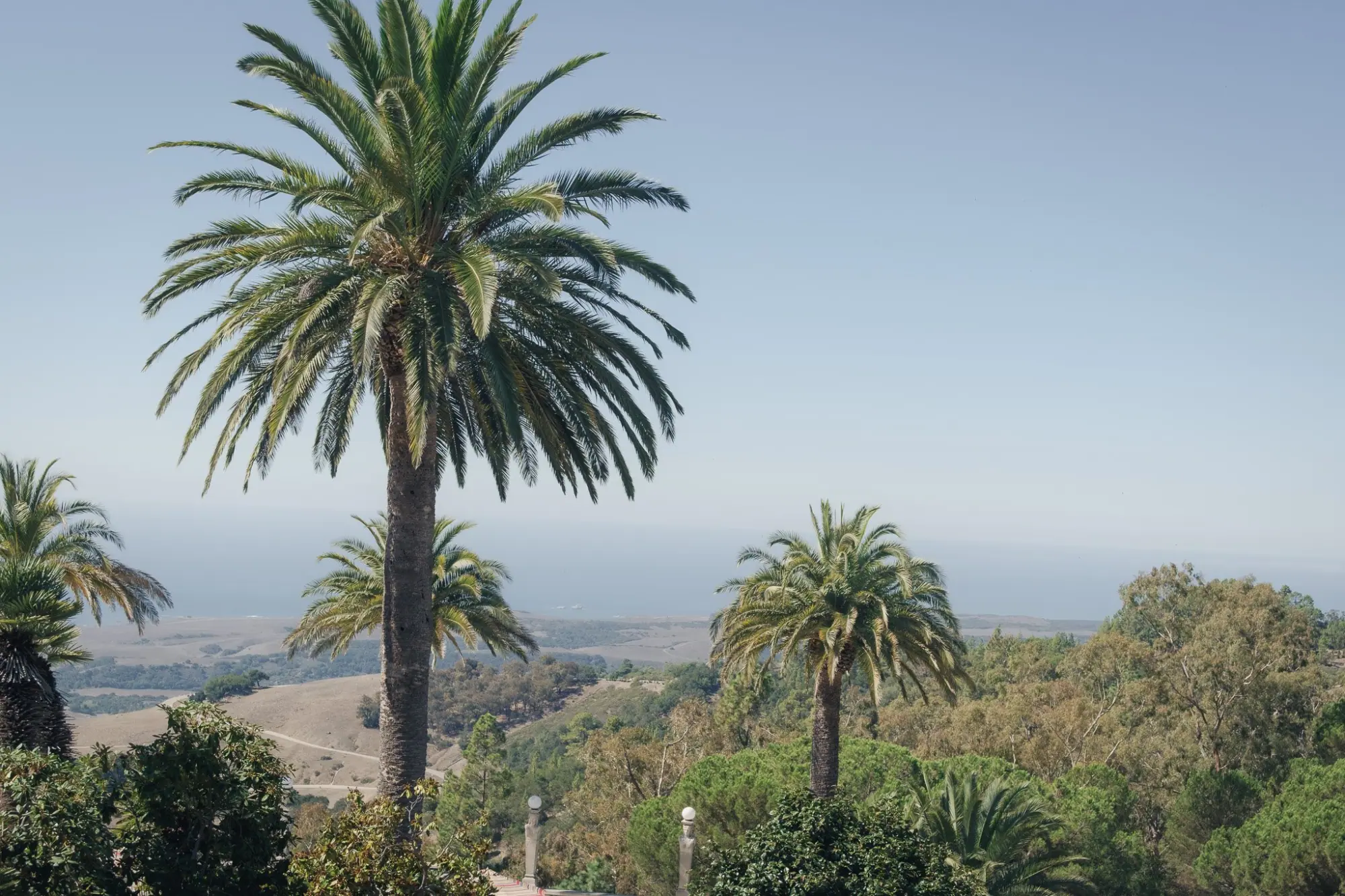 Photo from Day 2 — Hearst Castle and Arrival in Santa Barbara, Central Coast, CA