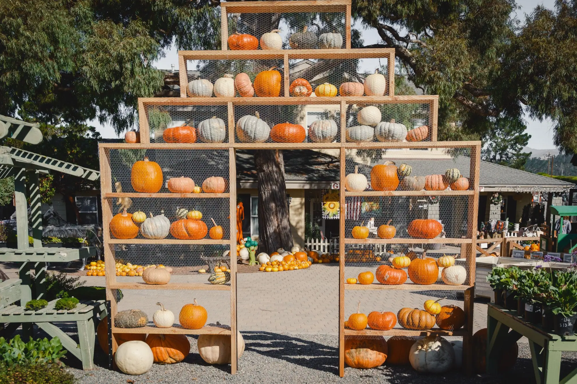 Photo from Afterward, we stopped by the Cambria Nursery & Florist, which was already decked out for Christmas, Central Coast, CA