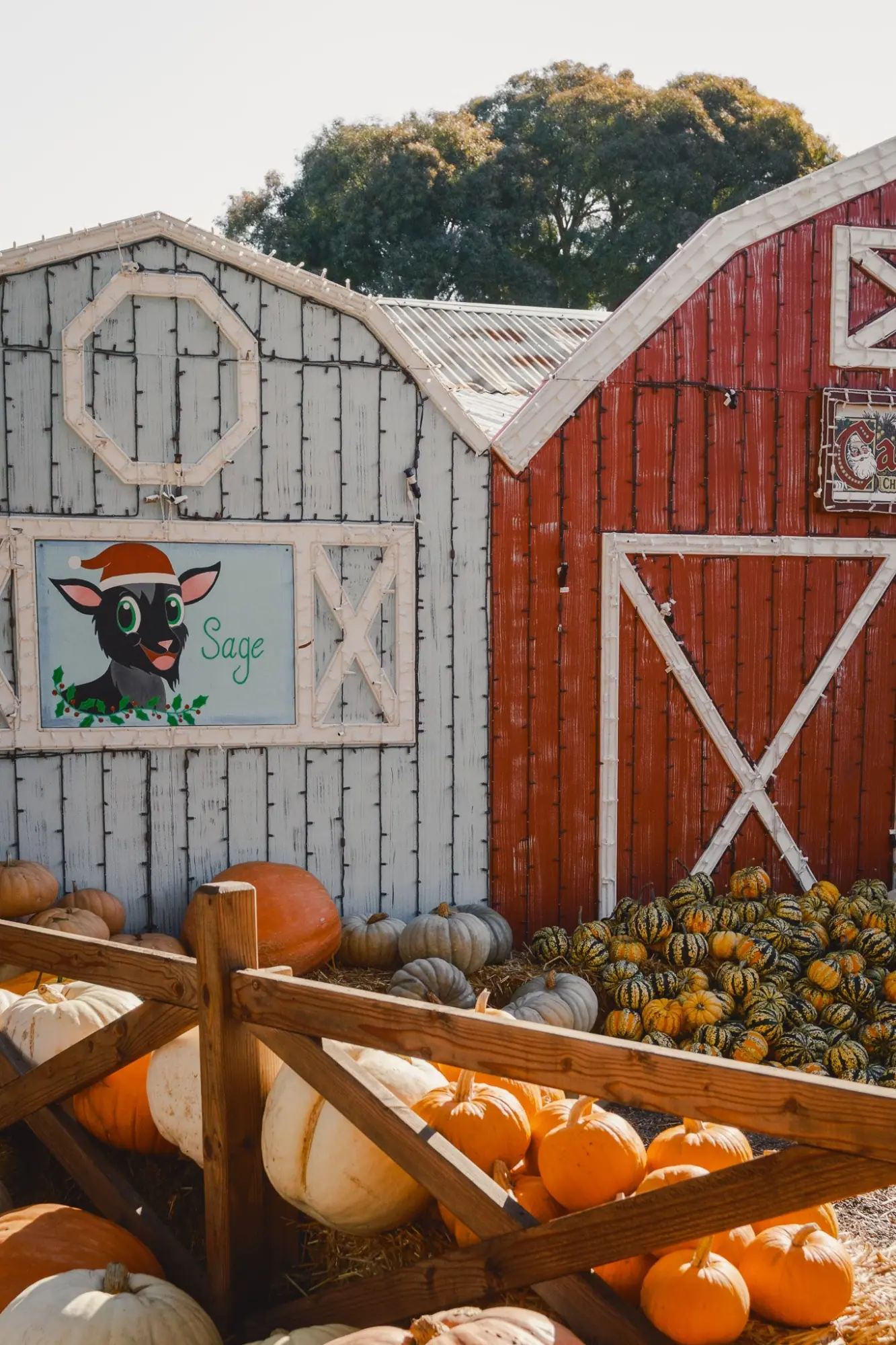 Photo from Afterward, we stopped by the Cambria Nursery & Florist, which was already decked out for Christmas, Central Coast, CA