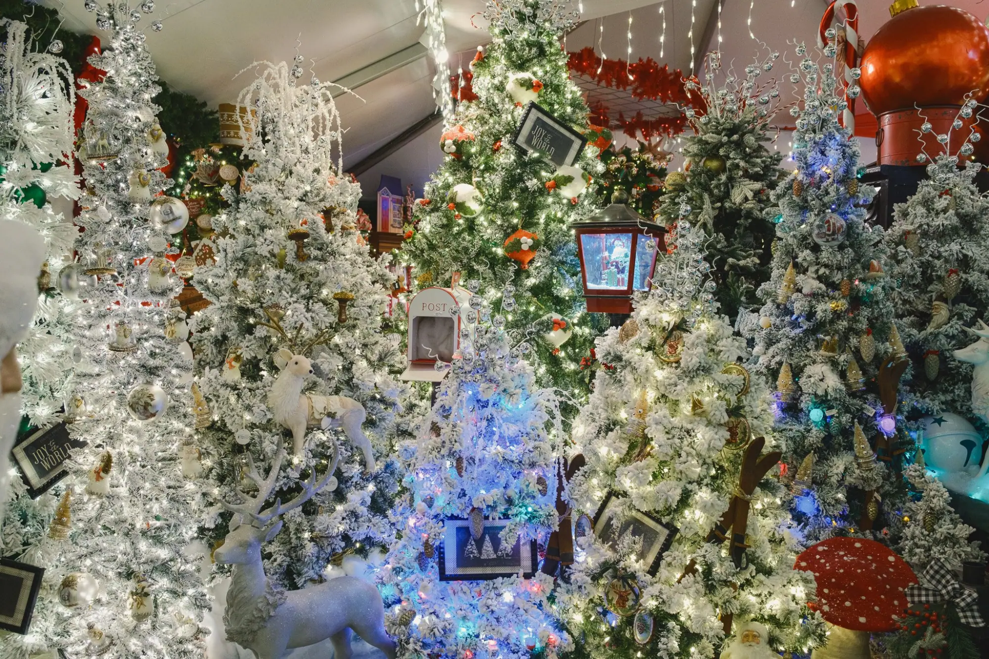 Photo from Afterward, we stopped by the Cambria Nursery & Florist, which was already decked out for Christmas, Central Coast, CA