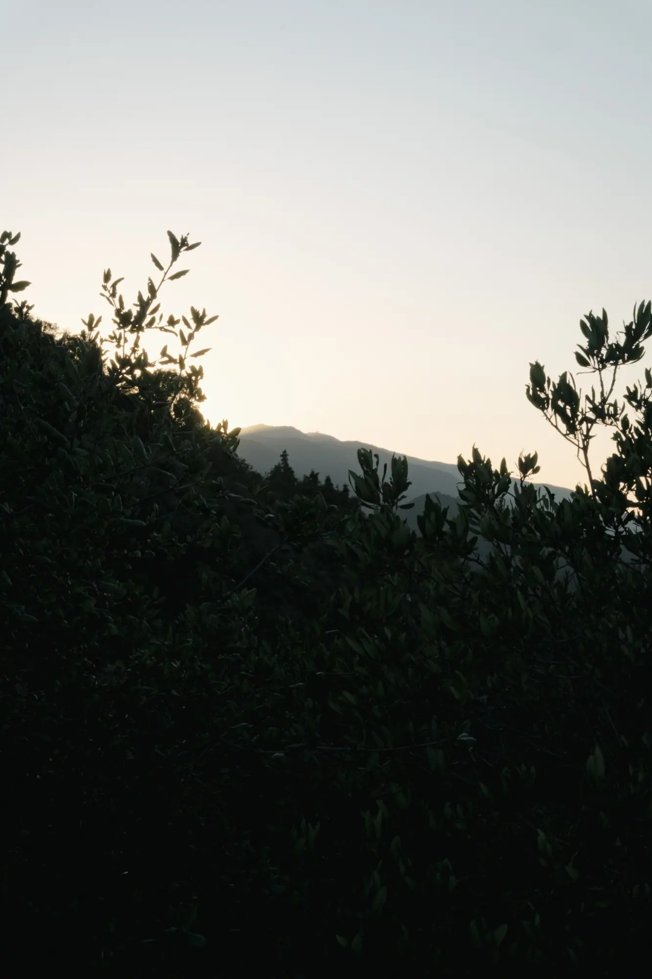 Photo from We took the scenic Highway 154 route toward Santa Barbara, stopping at several vista points to watch the…, Central Coast, CA