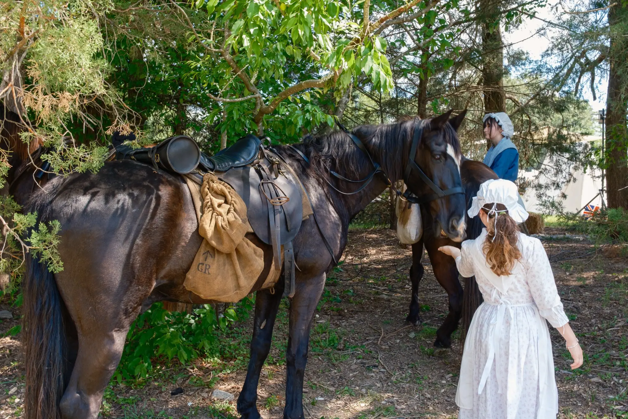 Photo from We planned our visit to line up with Revolutionary War Weekend, which added something special to the…, Mount Vernon, VA
