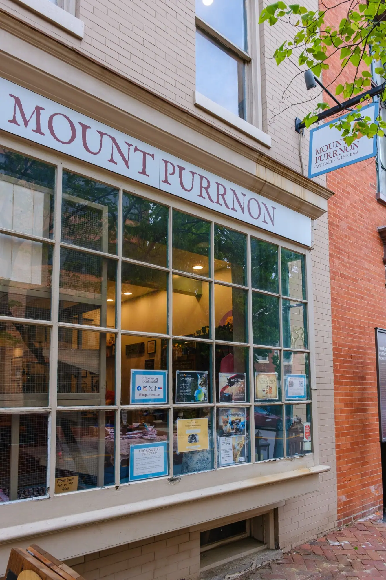 Photo from Then we wandered toward the waterfront, passing shops, row houses, and brick sidewalks with tulips and ivy…, Mount Vernon, VA