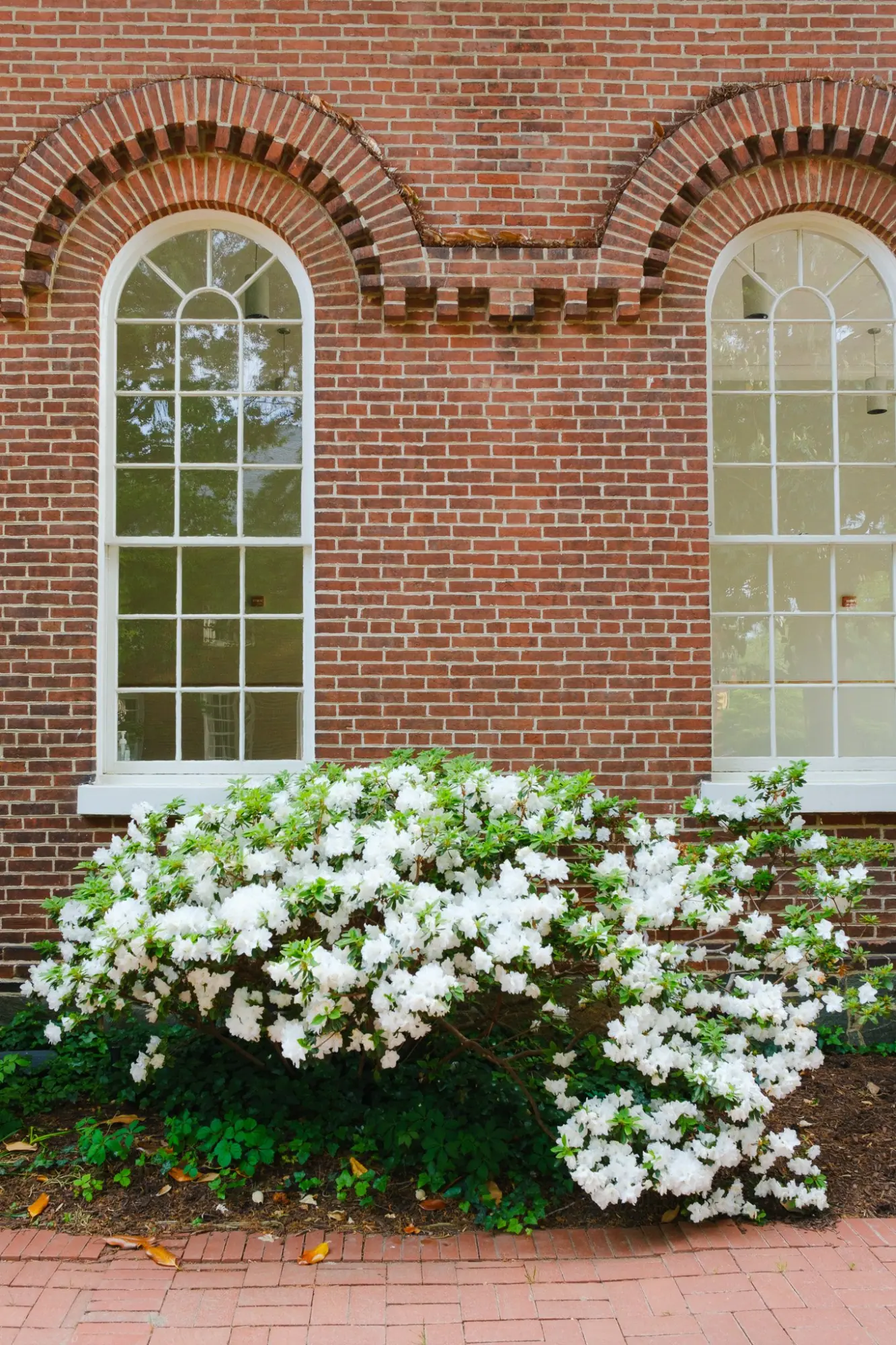 Photo from We visited Christ Church, a quiet, modest church that has hosted everyone from George Washington to…, Mount Vernon, VA