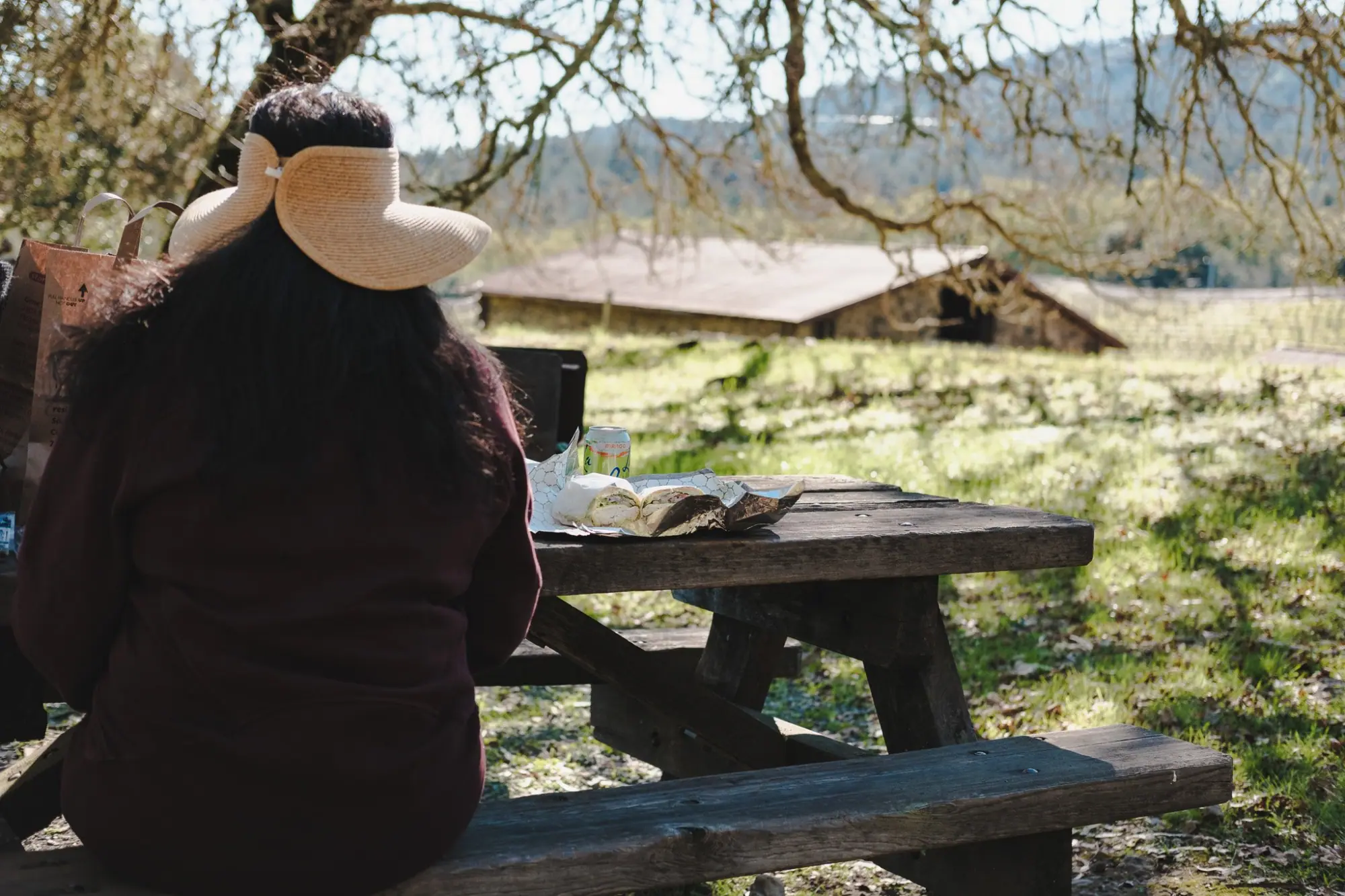 Photo from Lunch at the Cottage Picnic Area, Glen Ellen, CA