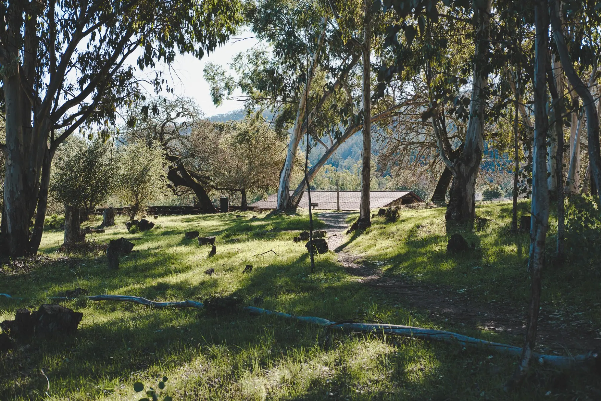 Photo from Exploring Jack London's Legacy, Glen Ellen, CA