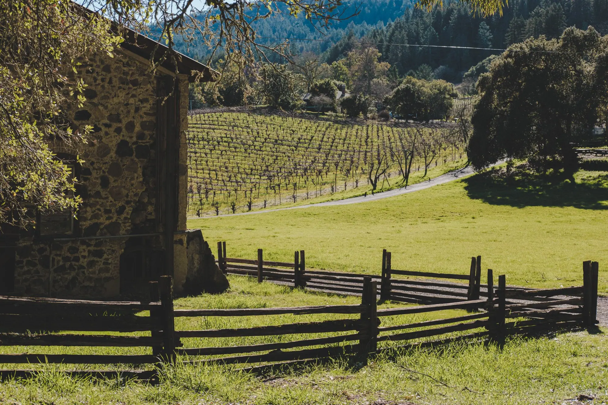 Photo from Exploring Jack London's Legacy, Glen Ellen, CA