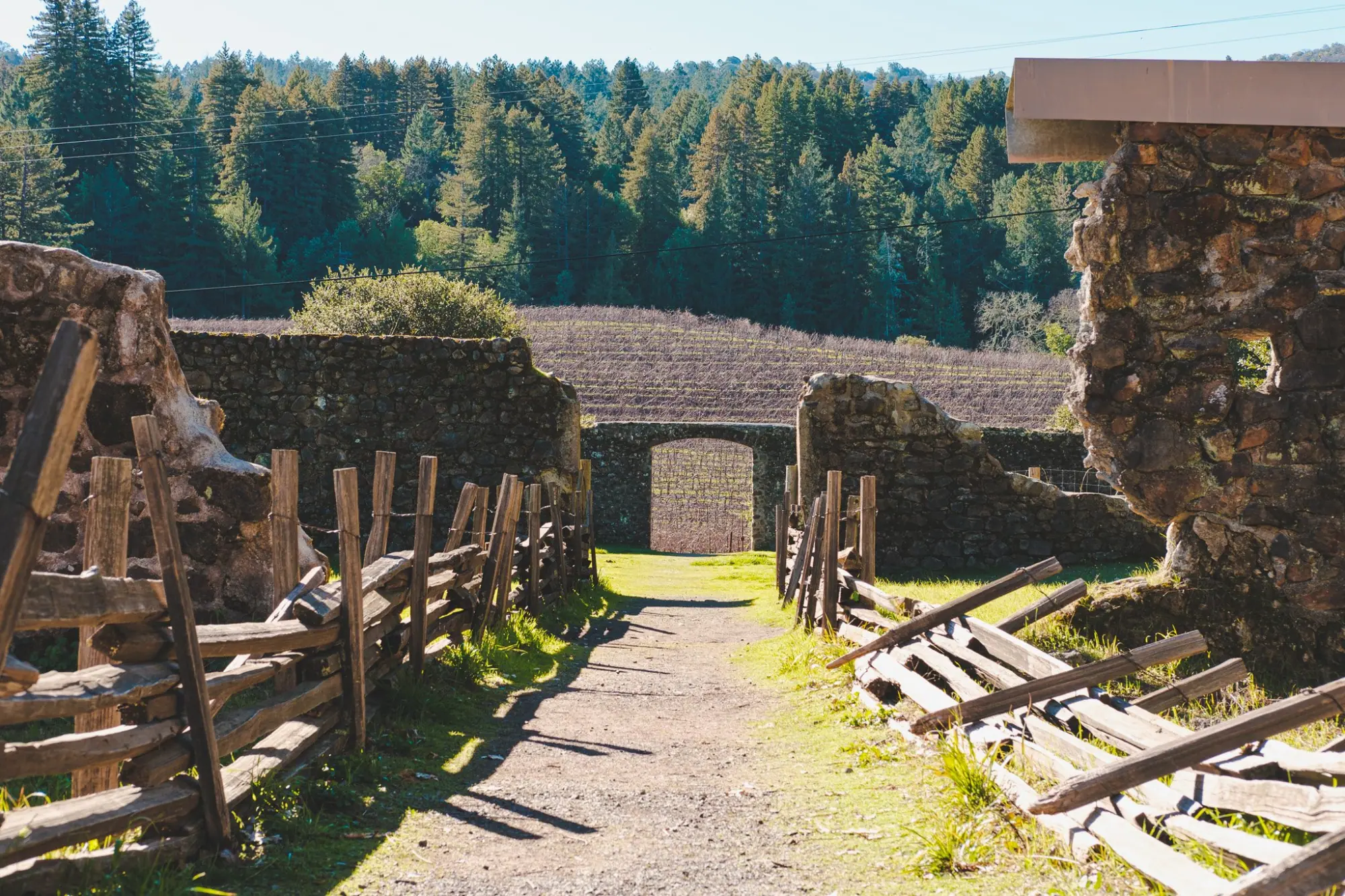 Photo from Exploring Jack London's Legacy, Glen Ellen, CA
