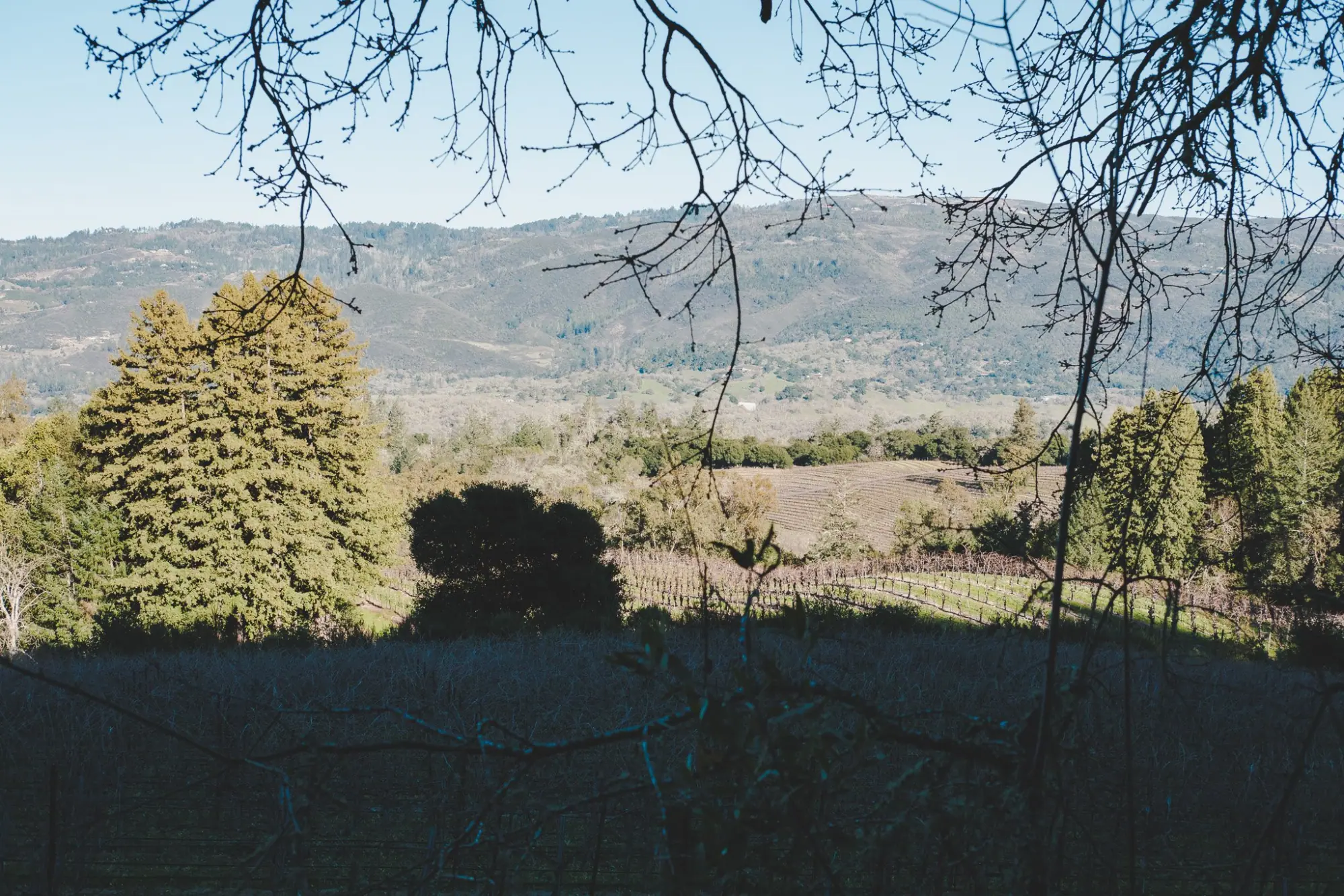 Photo from A Peaceful Hike Around Lake Trail, Glen Ellen, CA