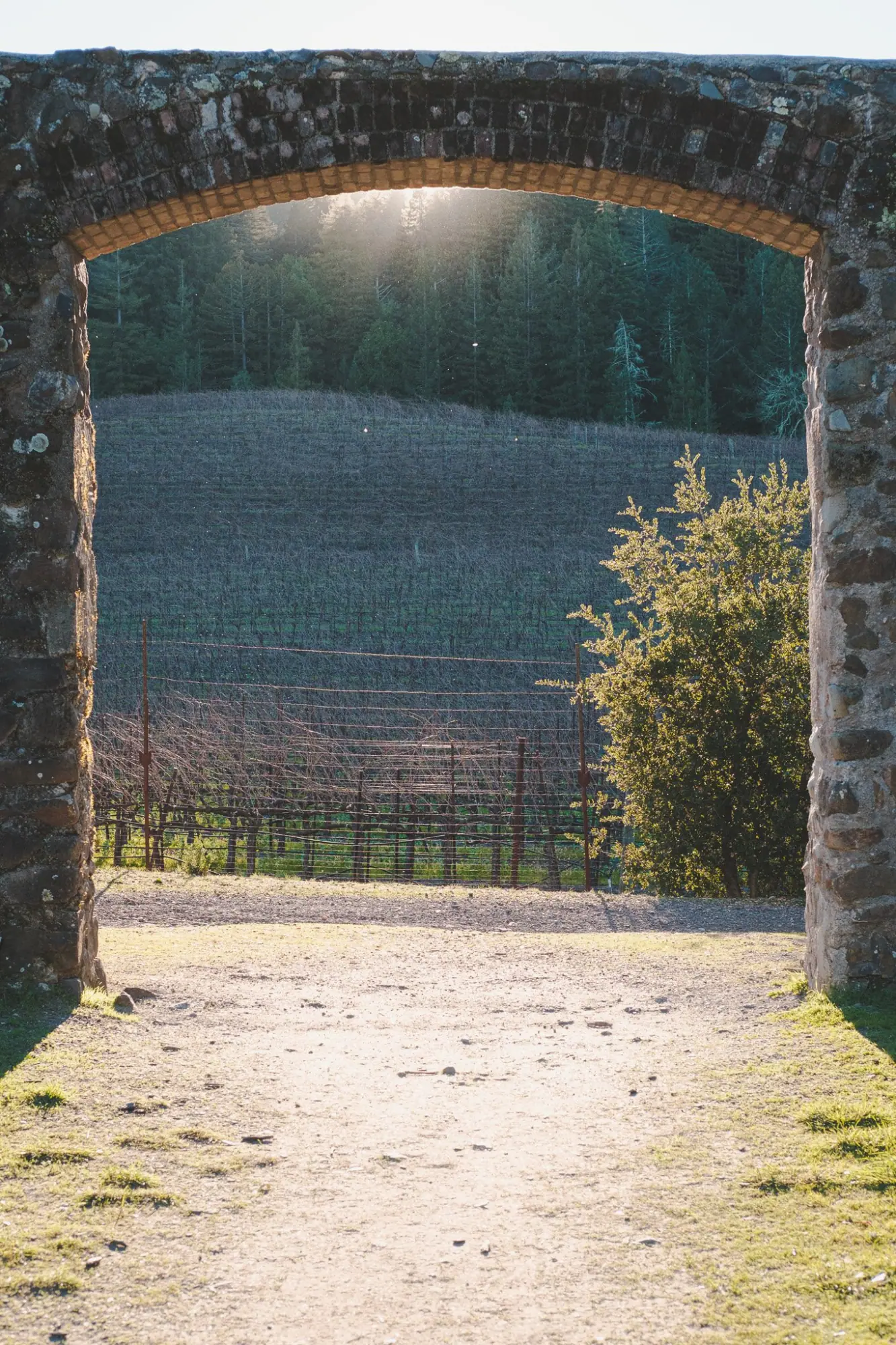 Photo from A Peaceful Hike Around Lake Trail, Glen Ellen, CA
